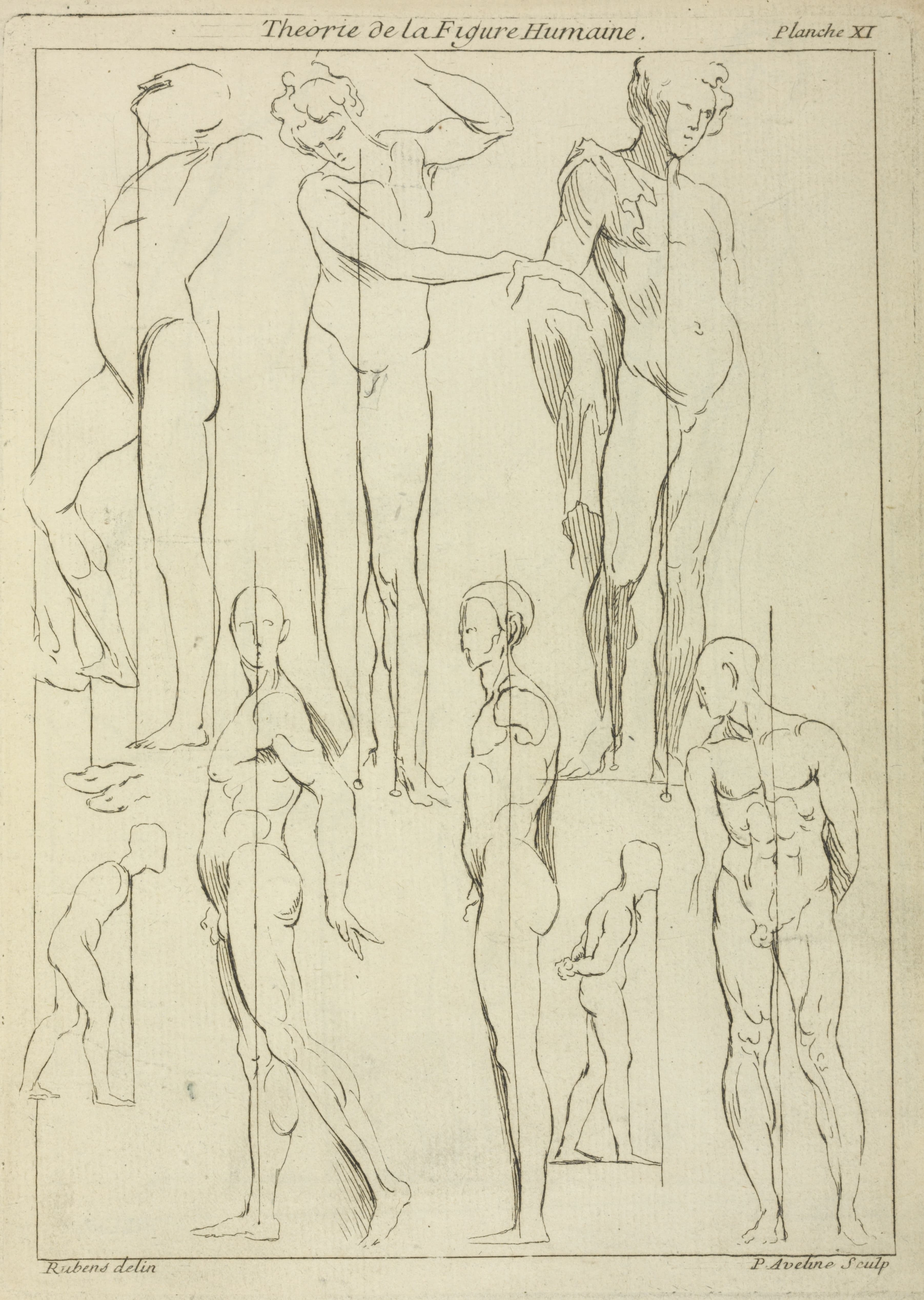 《直立姿势的人物研究》（Studies of figures in upright positions）｜彼得·保罗·鲁本斯 Peter Paul Rubens｜不明