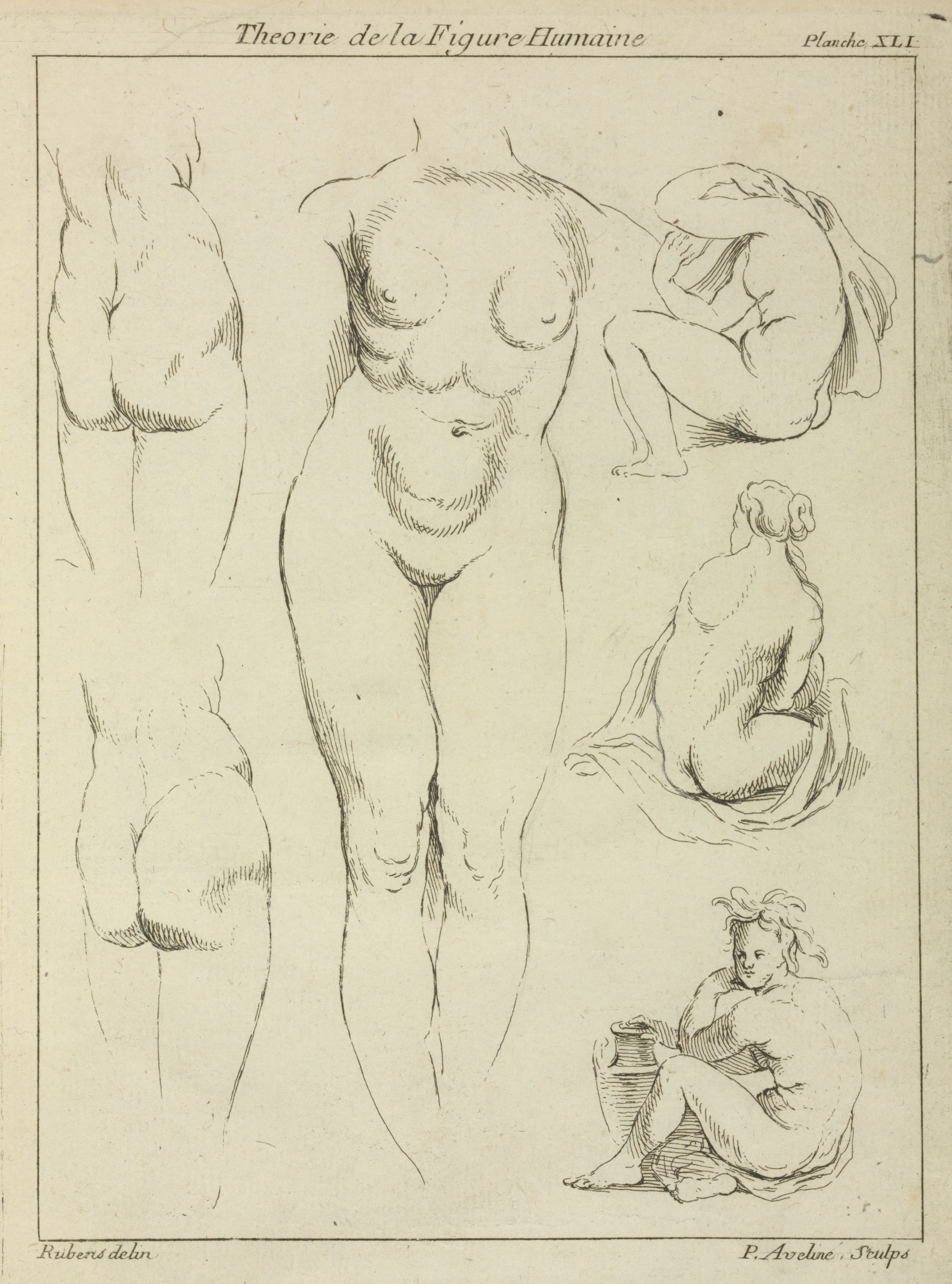 《对女性躯干、臀部和坐姿的研究，背面视图》（Studies of the female torso, buttocks, and seated figures, dorsal view）｜彼得·保罗·鲁本斯 Peter Paul Rubens｜不明
