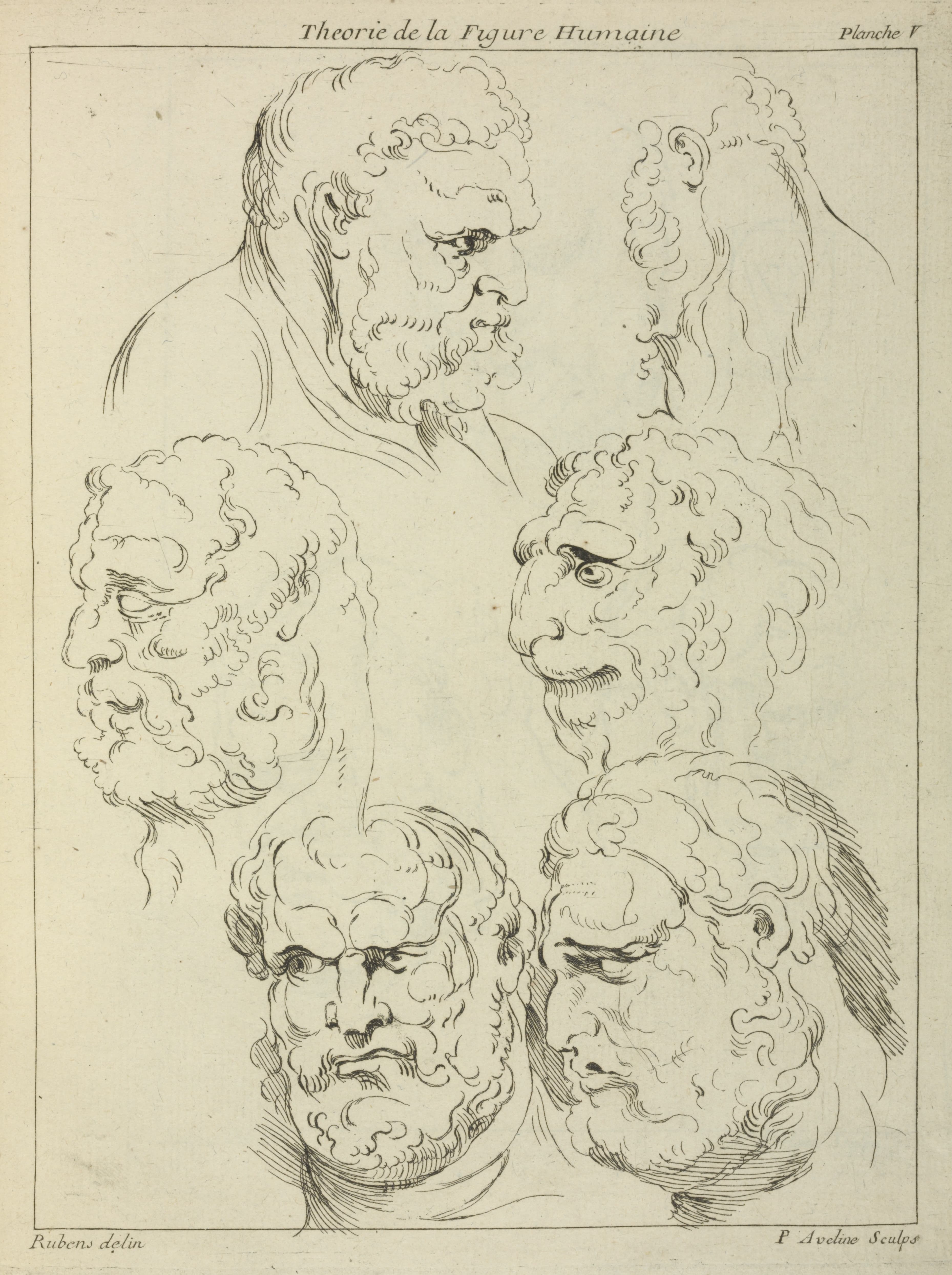 《对大胡子男人和生物头部的研究》（Studies of the head of a bearded man, and the head of a creature）｜彼得·保罗·鲁本斯 Peter Paul Rubens｜不明
