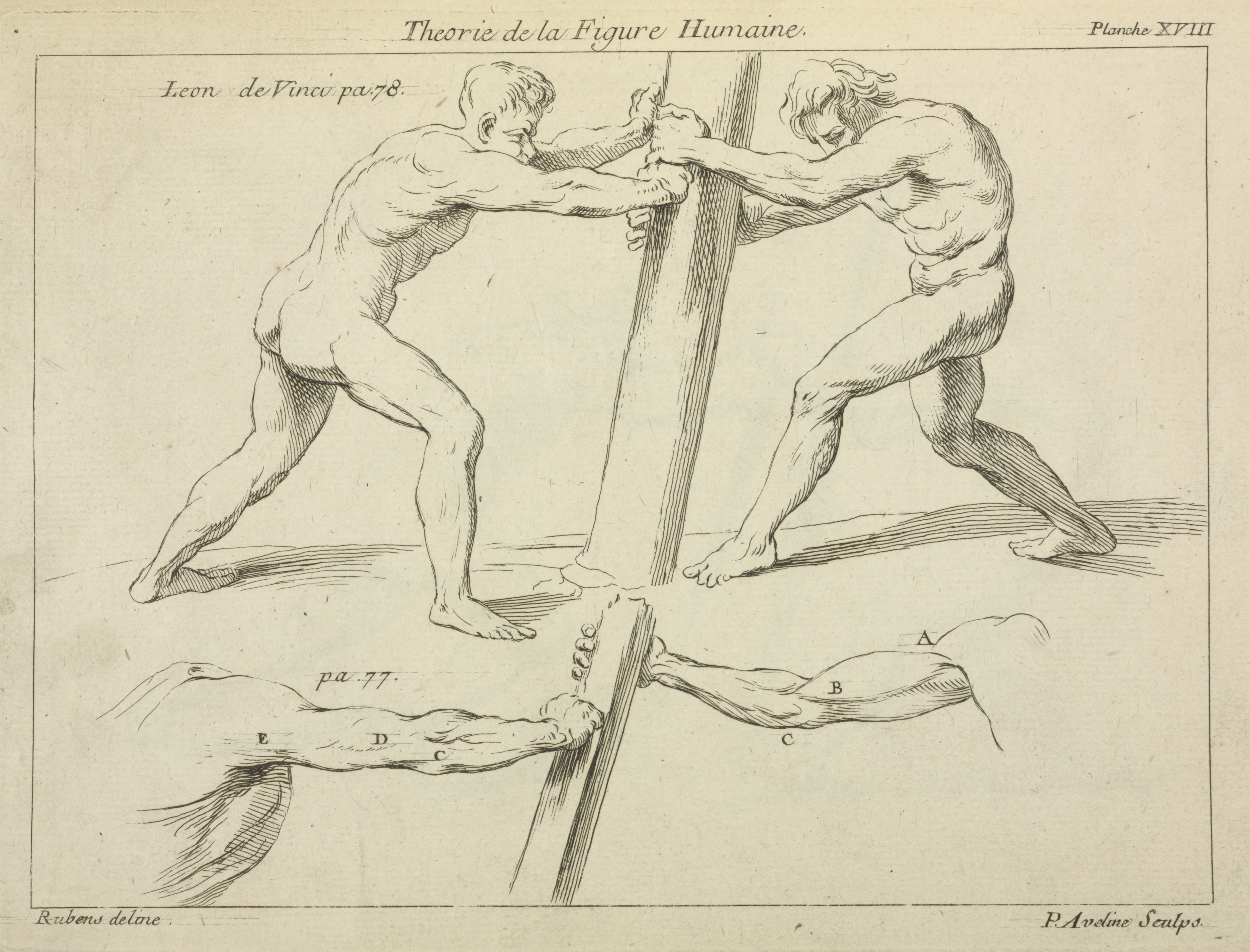 《两个人推柱子的研究》（Studies of two figures pushing against a pillar）｜彼得·保罗·鲁本斯 Peter Paul Rubens｜不明