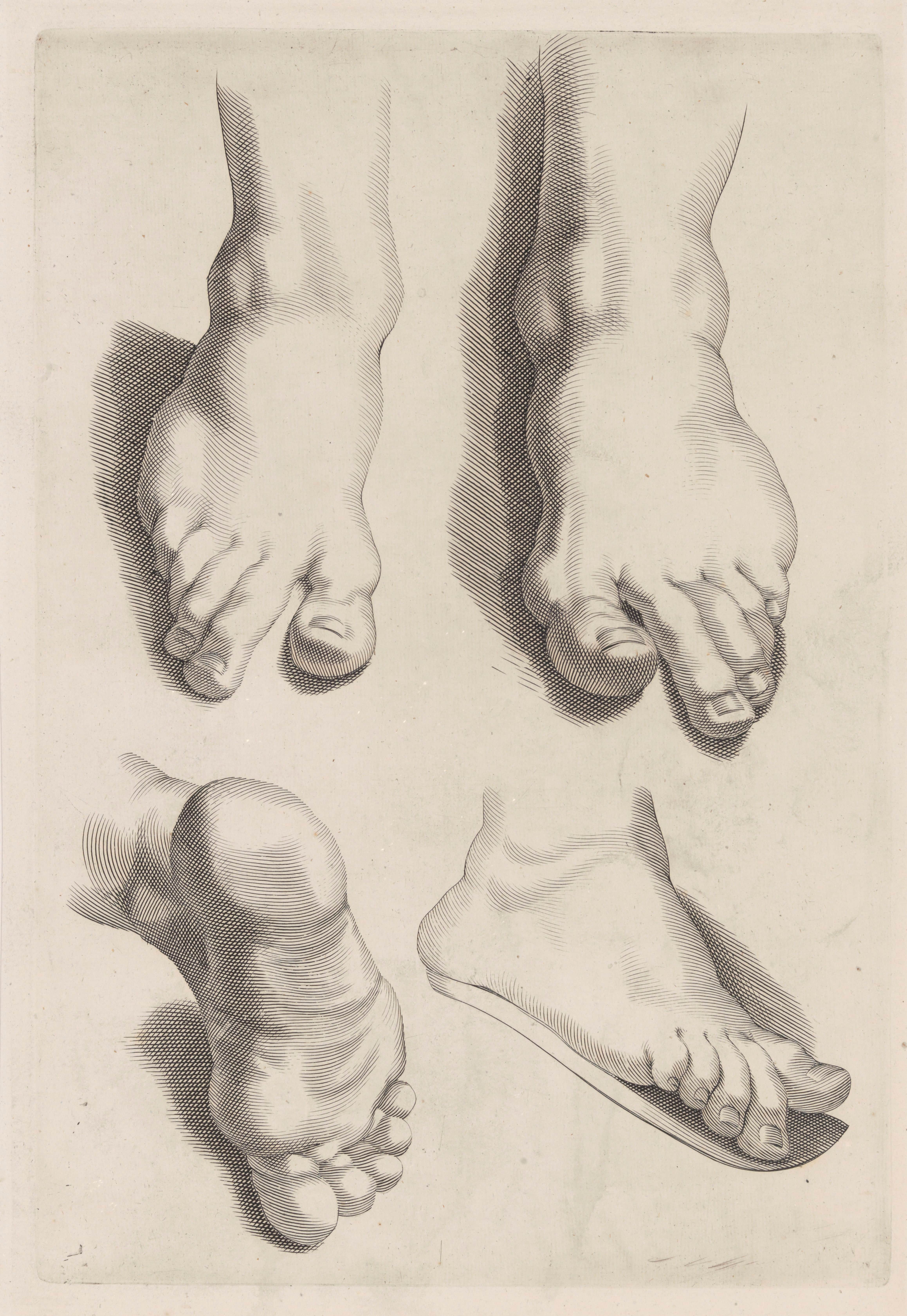 《足部研究》（Study of Feet）｜彼得·保罗·鲁本斯 Peter Paul Rubens｜不明
