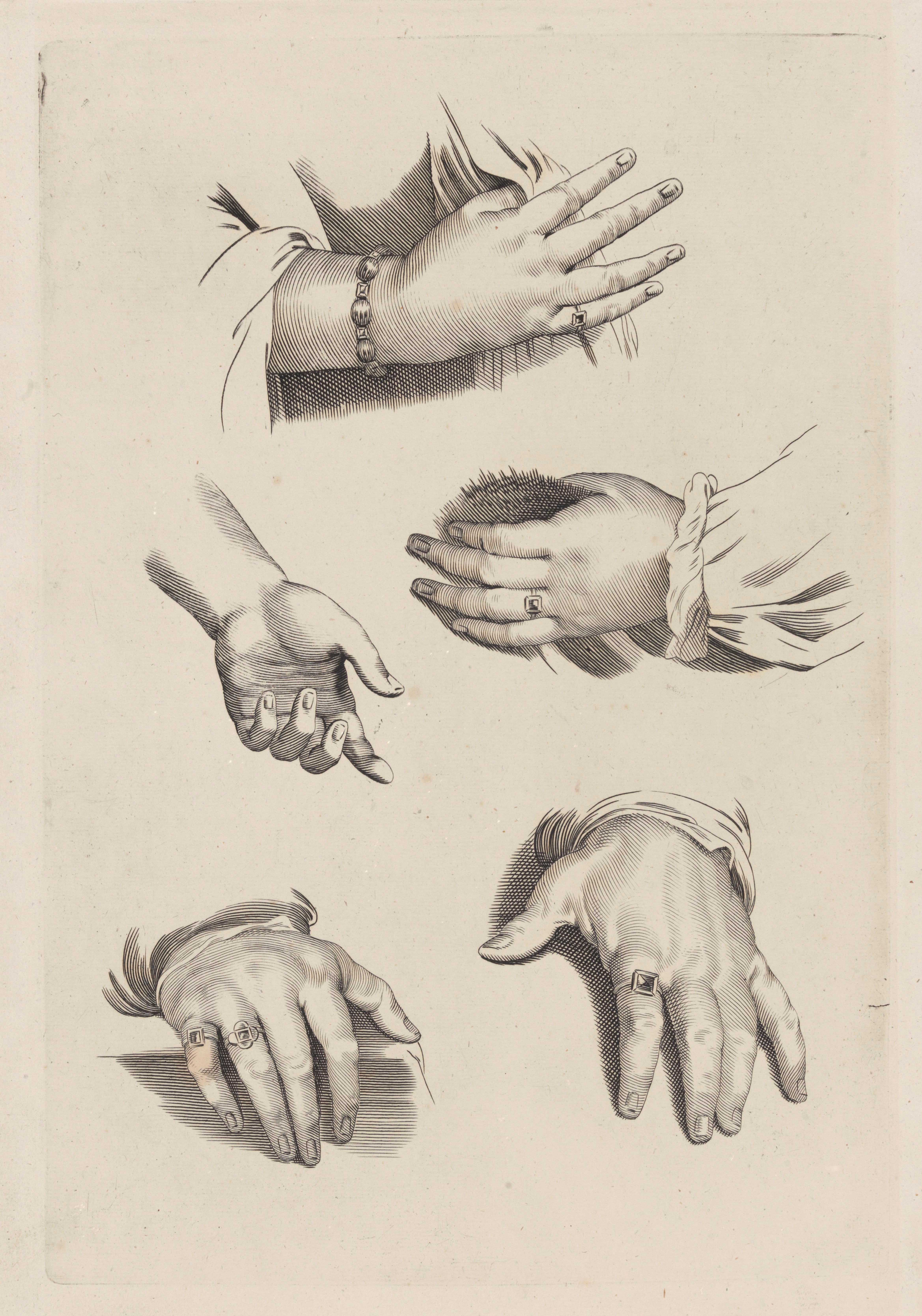 《手研究》（Study of Hands）｜彼得·保罗·鲁本斯 Peter Paul Rubens｜不明