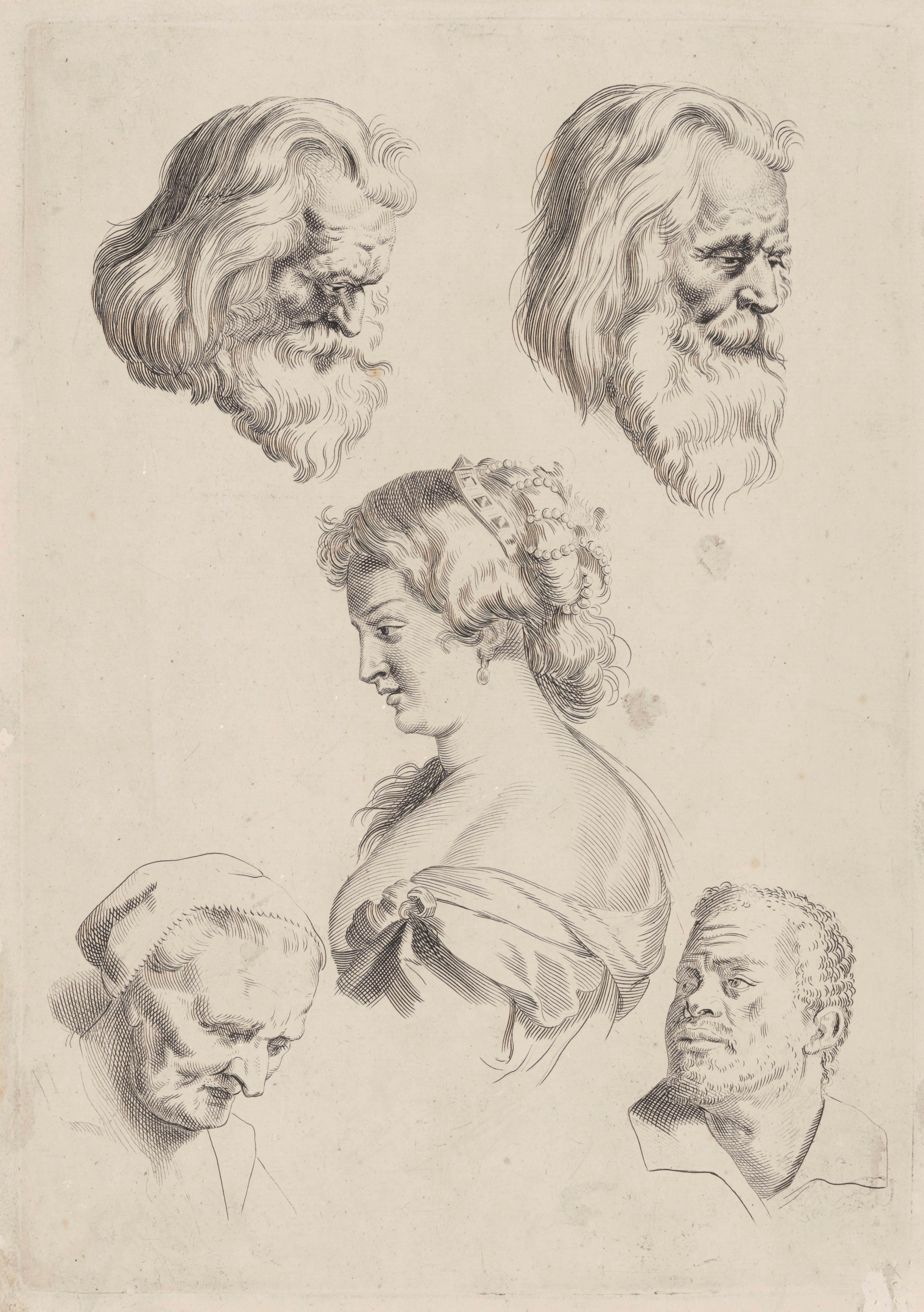 《头部研究》（Study of Heads）｜彼得·保罗·鲁本斯 Peter Paul Rubens｜不明