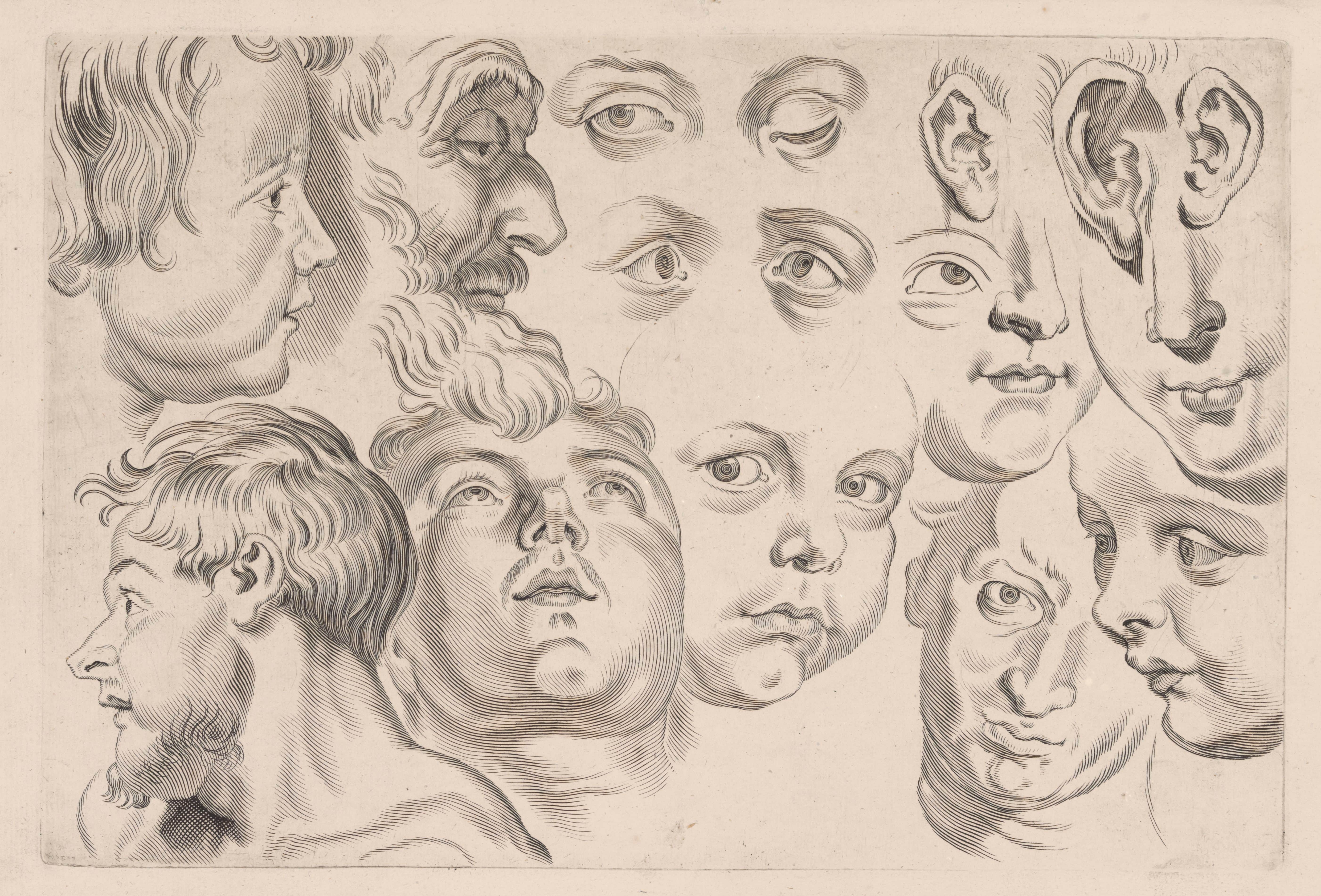 《头部研究》（Study of Heads）｜彼得·保罗·鲁本斯 Peter Paul Rubens｜不明