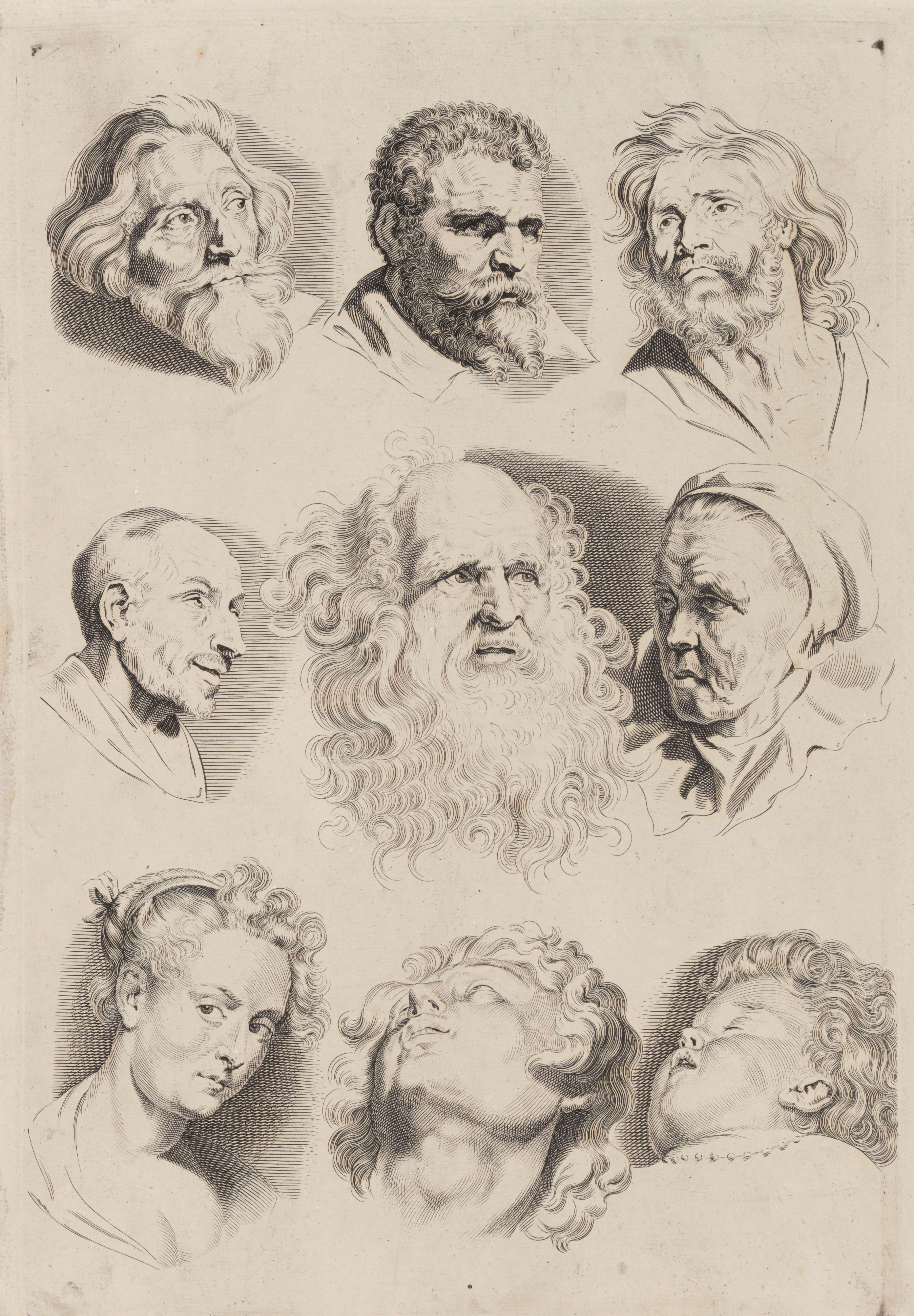《头部研究》（Study of Heads）｜彼得·保罗·鲁本斯 Peter Paul Rubens｜不明
