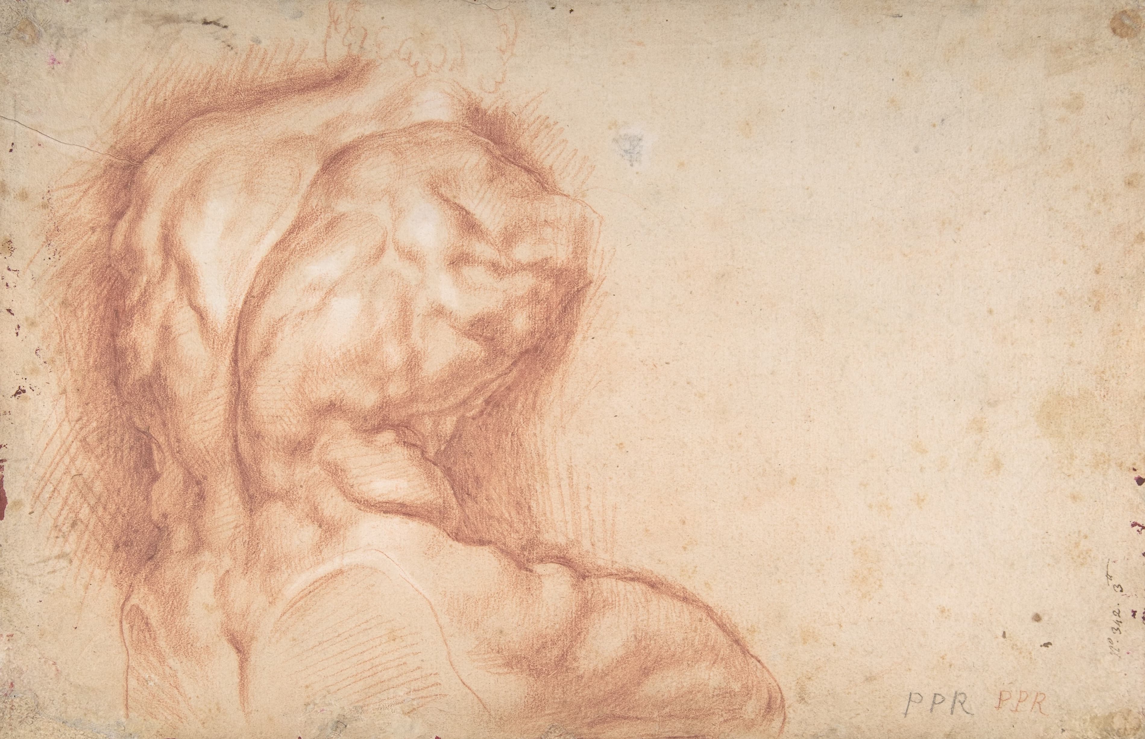 《观景台躯干研究》（Study of the Torso Belvedere）｜彼得·保罗·鲁本斯 Peter Paul Rubens｜不明