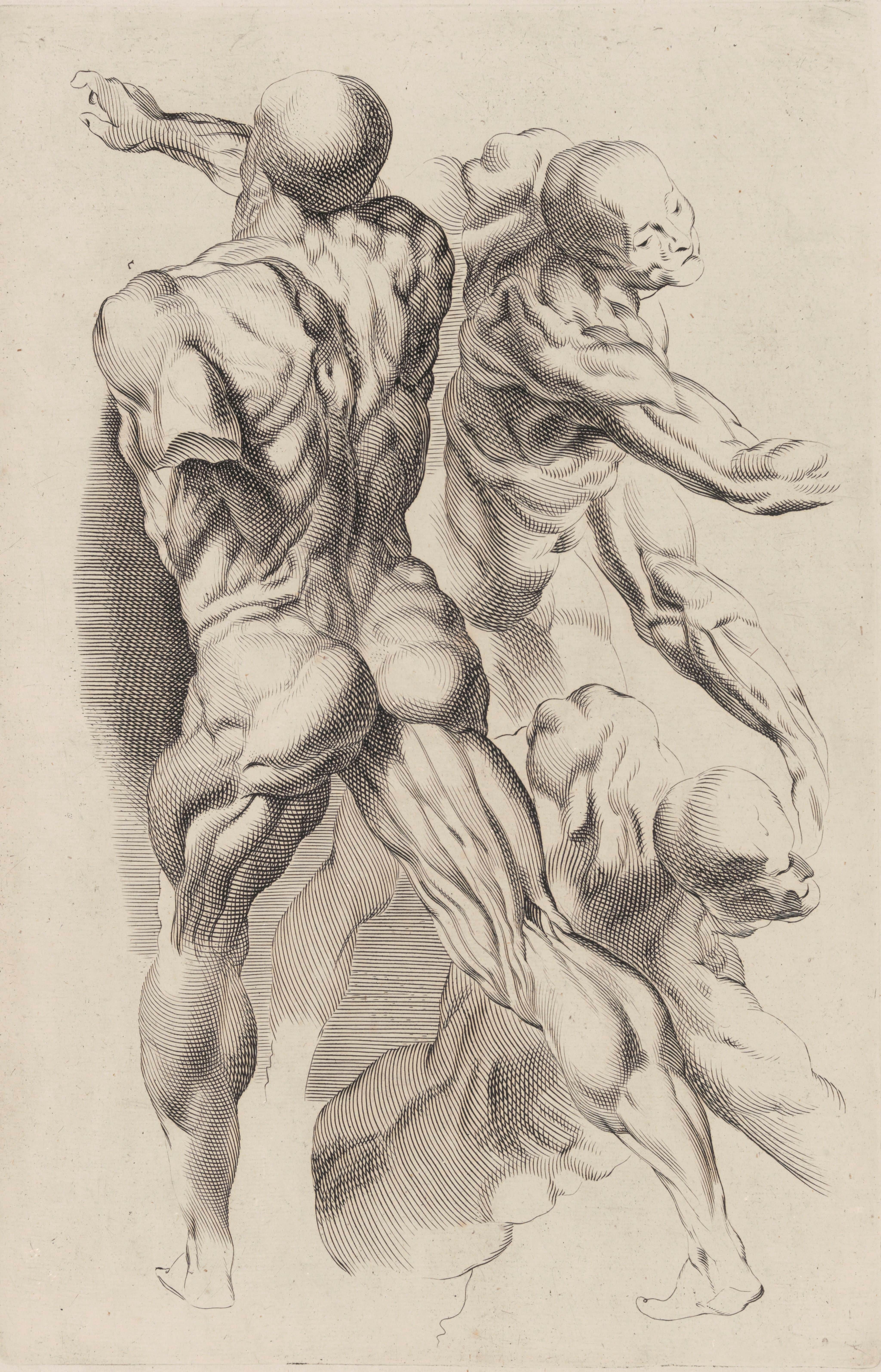 《两个裸体男人的研究》（Study of Two Naked Men）｜彼得·保罗·鲁本斯 Peter Paul Rubens｜不明