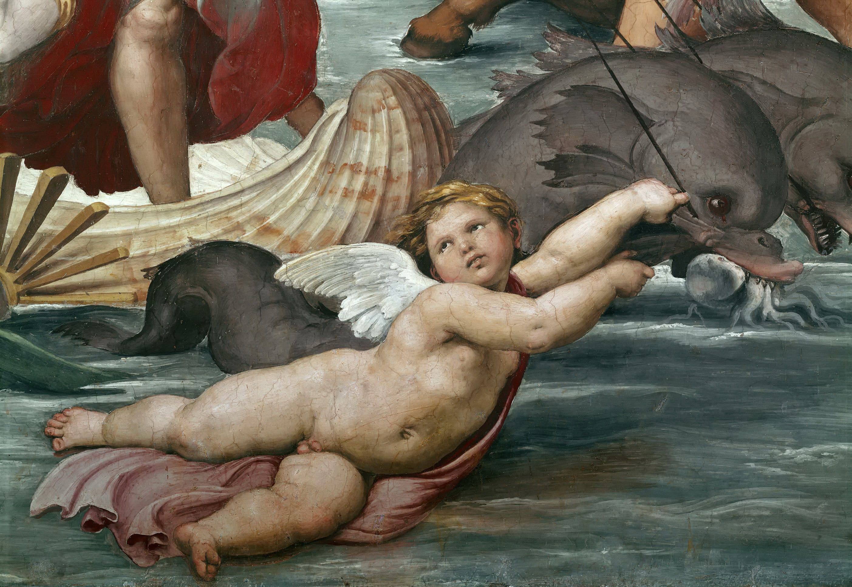 《伽拉忒亚的凯旋：小天使局部》（Galatea, detail of putto）｜拉斐尔 Raphael｜1506
