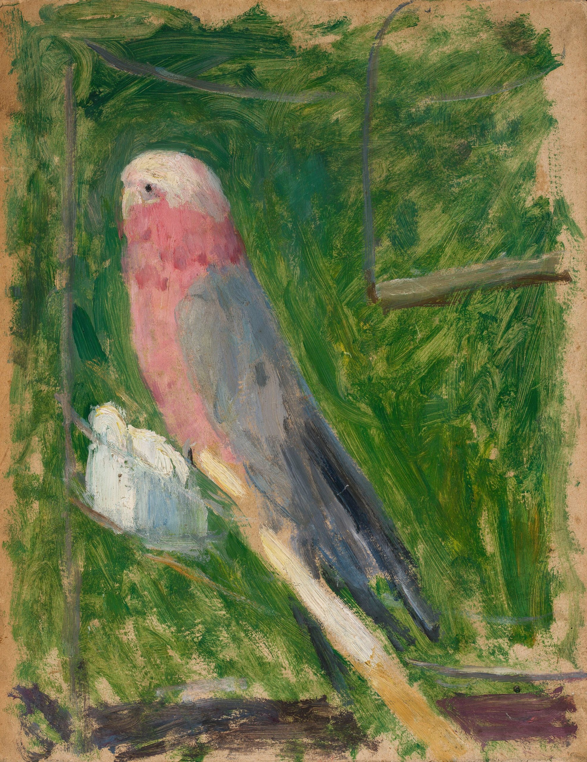 《鹦鹉》（Parrot）｜塔德乌什·马科夫斯基 Tadeusz Makowski｜1918