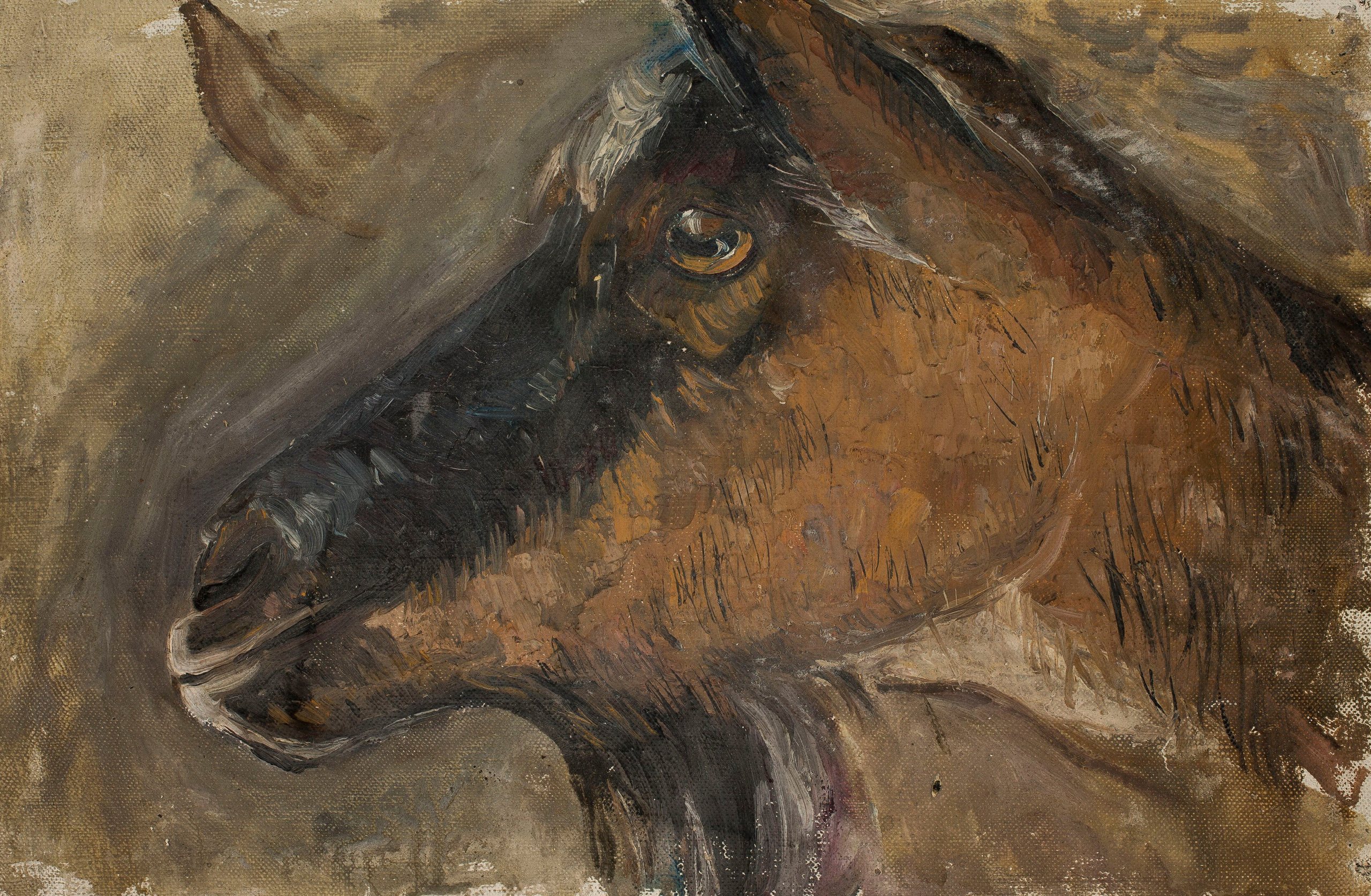 《山羊头部的研究》（Study of a goat’s head）｜塔德乌什·马科夫斯基 Tadeusz Makowski｜1918
