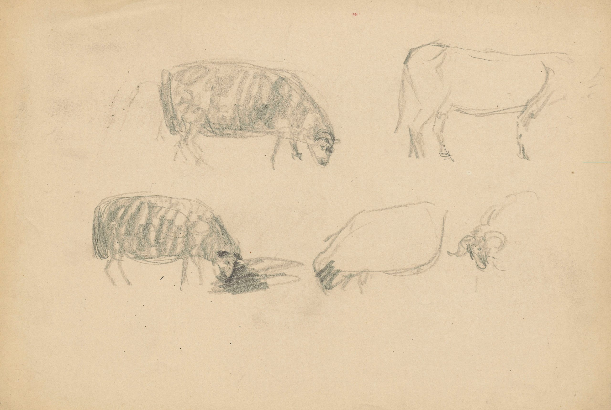 《对公羊的研究》（A study of rams）｜塔德乌什·马科夫斯基 Tadeusz Makowski｜1907