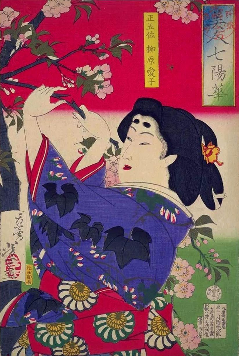 《美丽的七代香诚吾柳原爱子》（美人七陽華 正五位柳原愛子）｜月冈芳年 Tsukioka Yoshitoshi｜不明