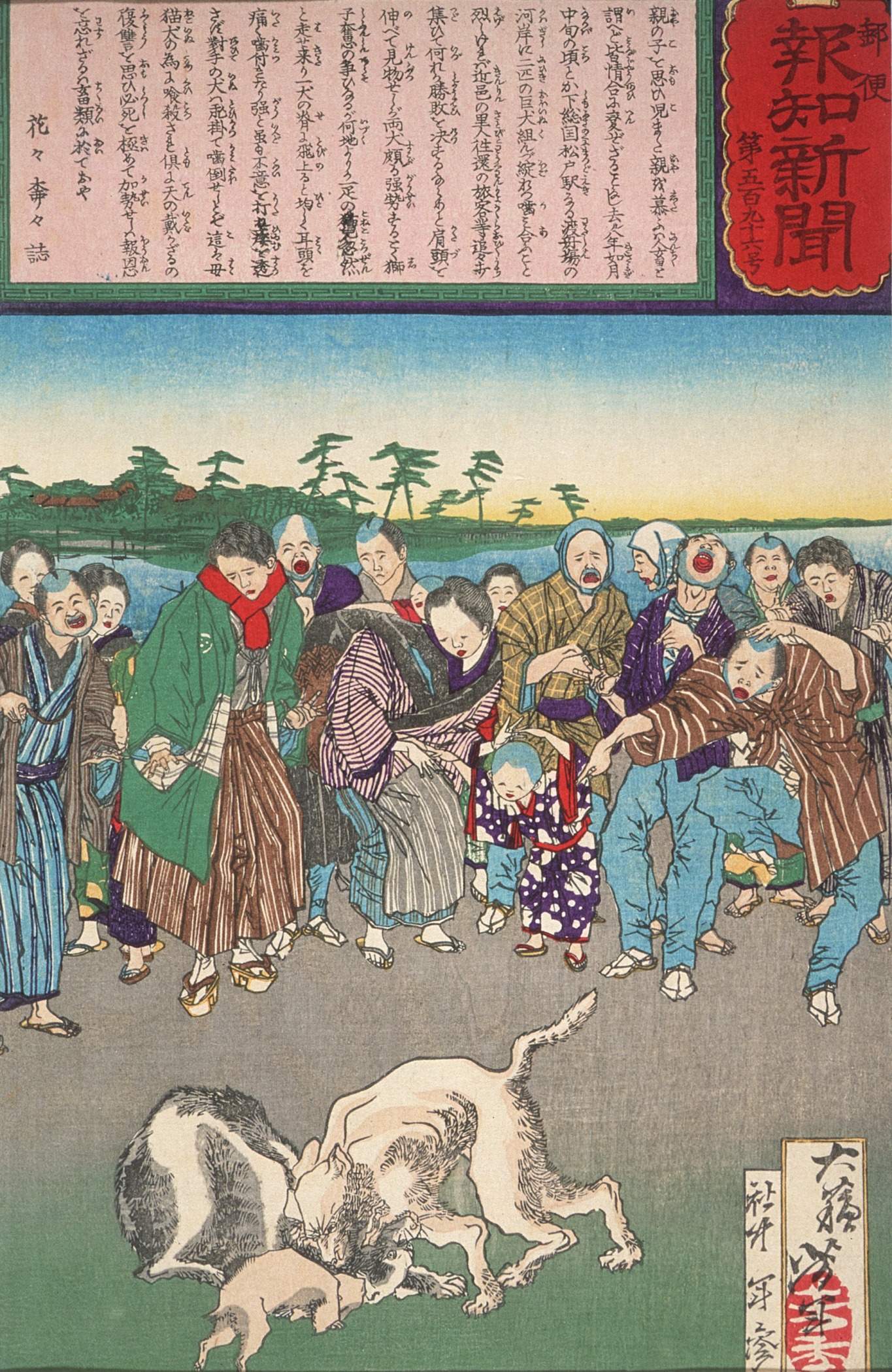 猫介入狗斗，为杀母狗报仇