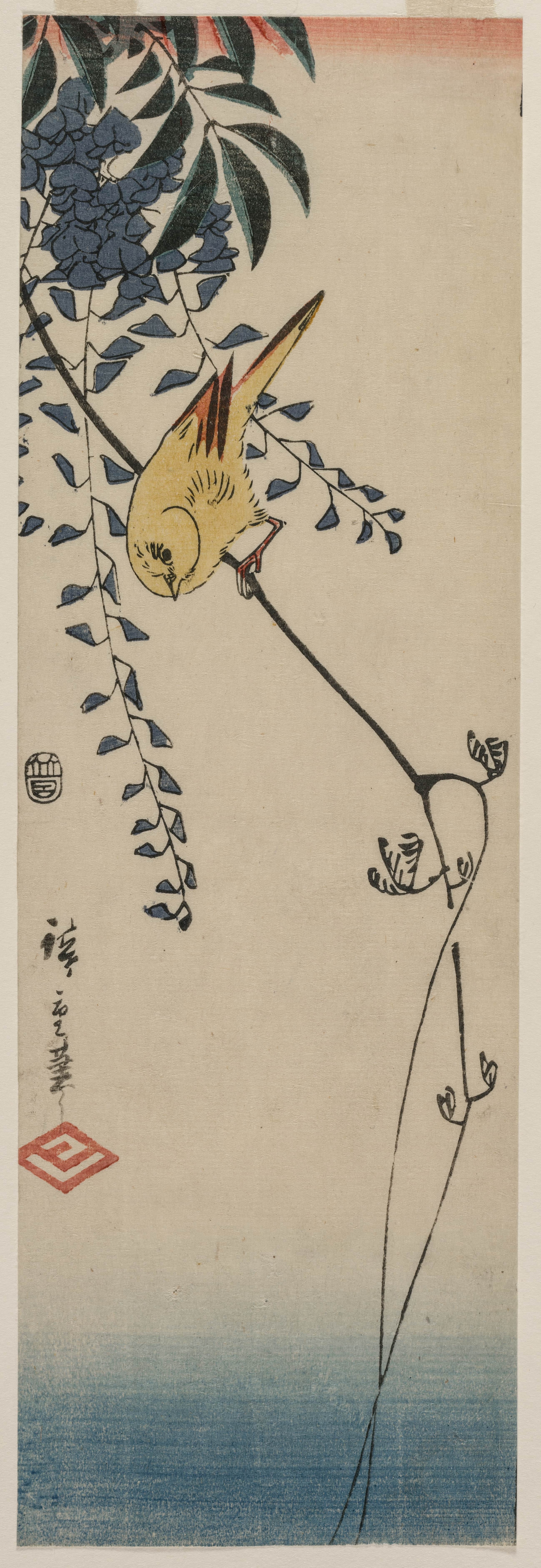《金丝雀与紫藤》（Canary and Wisteria）｜歌川广重 Utagawa Hiroshige｜1840年代中期