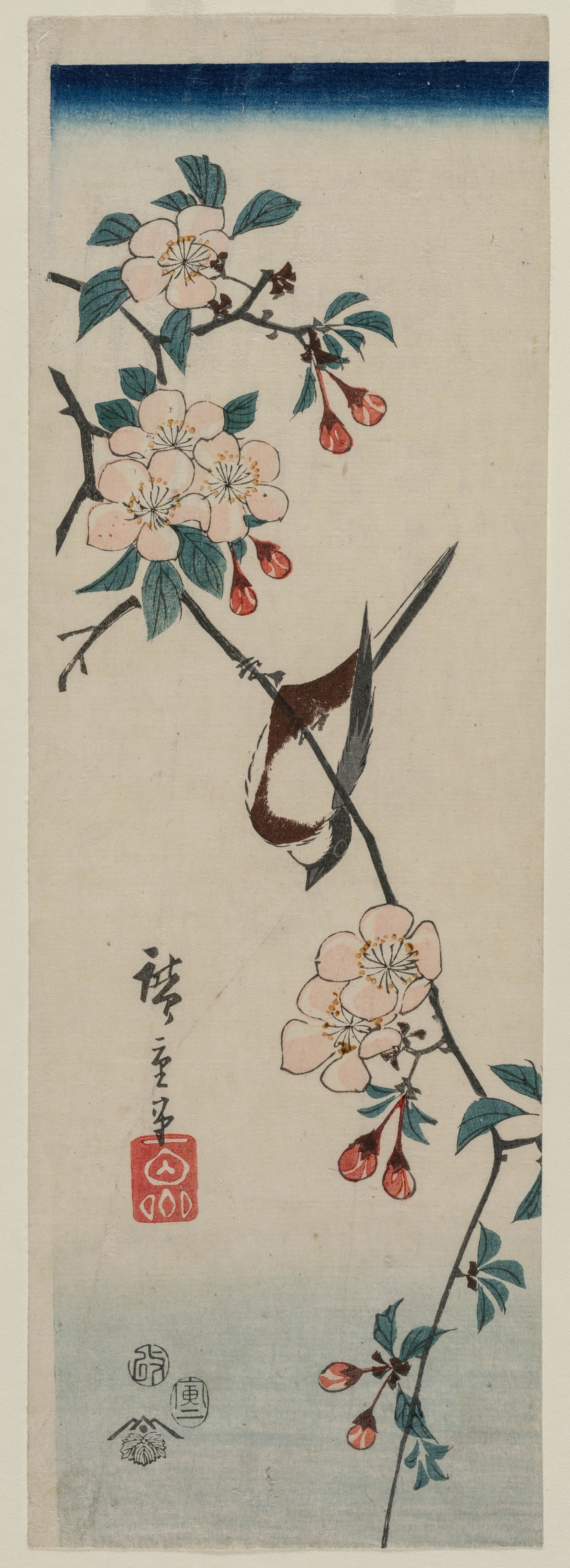 《樱枝上的小鸟（疑似燕子）》（Small Bird (Swallow ?) on Cherry Branch）｜歌川广重 Utagawa Hiroshige｜1854