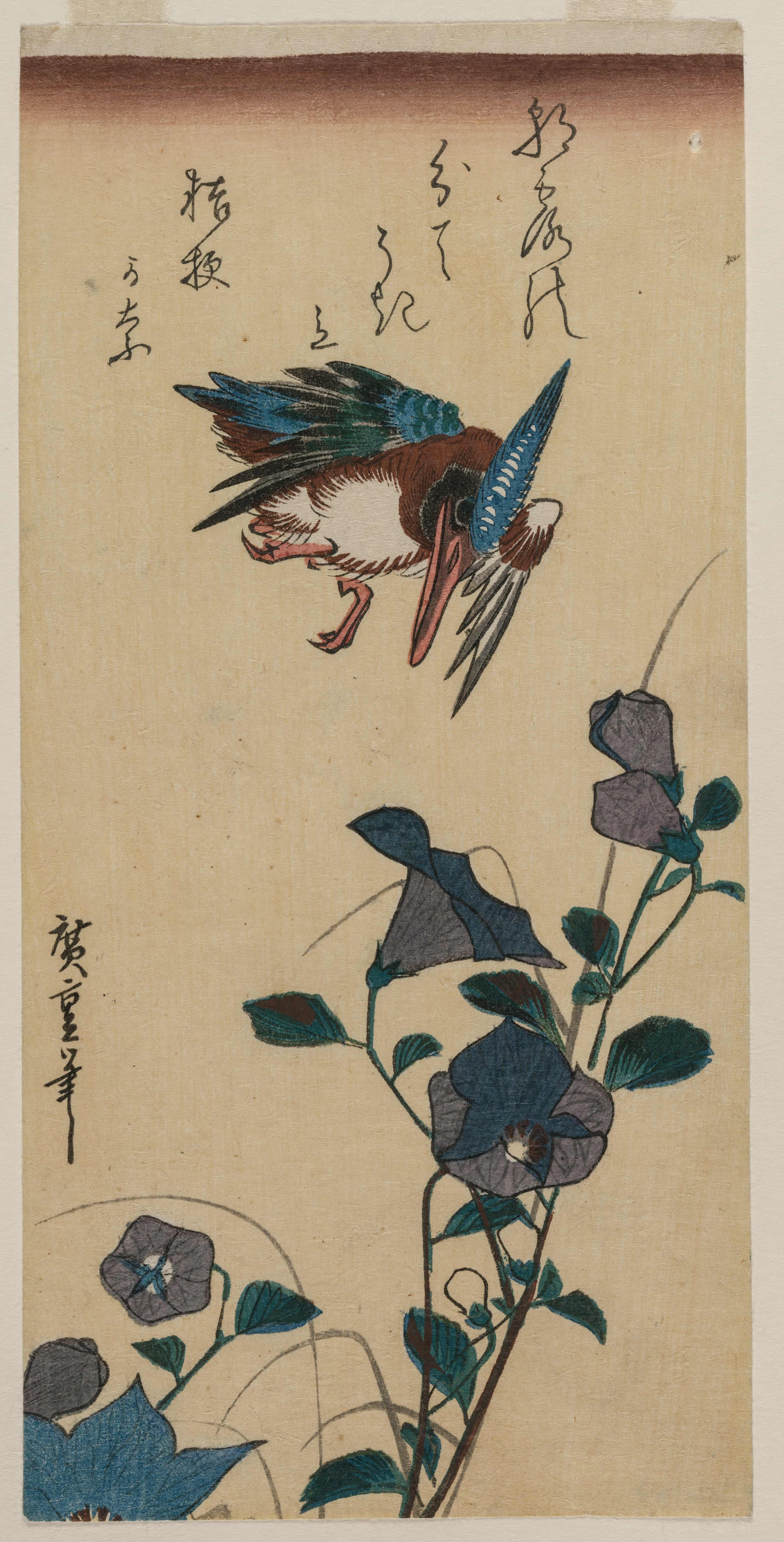 翠鸟与桔梗