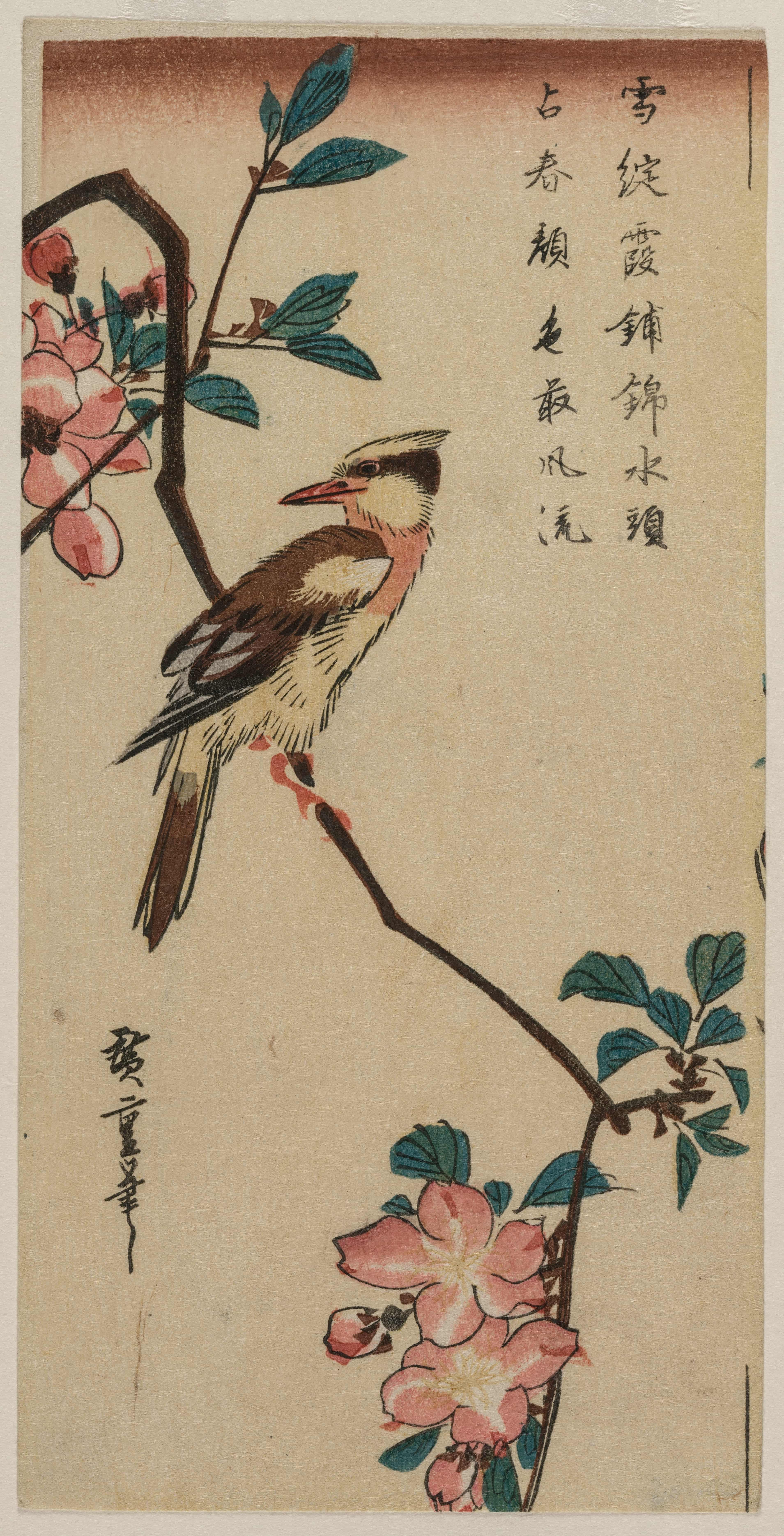 海棠枝上的黑枕黄鹂