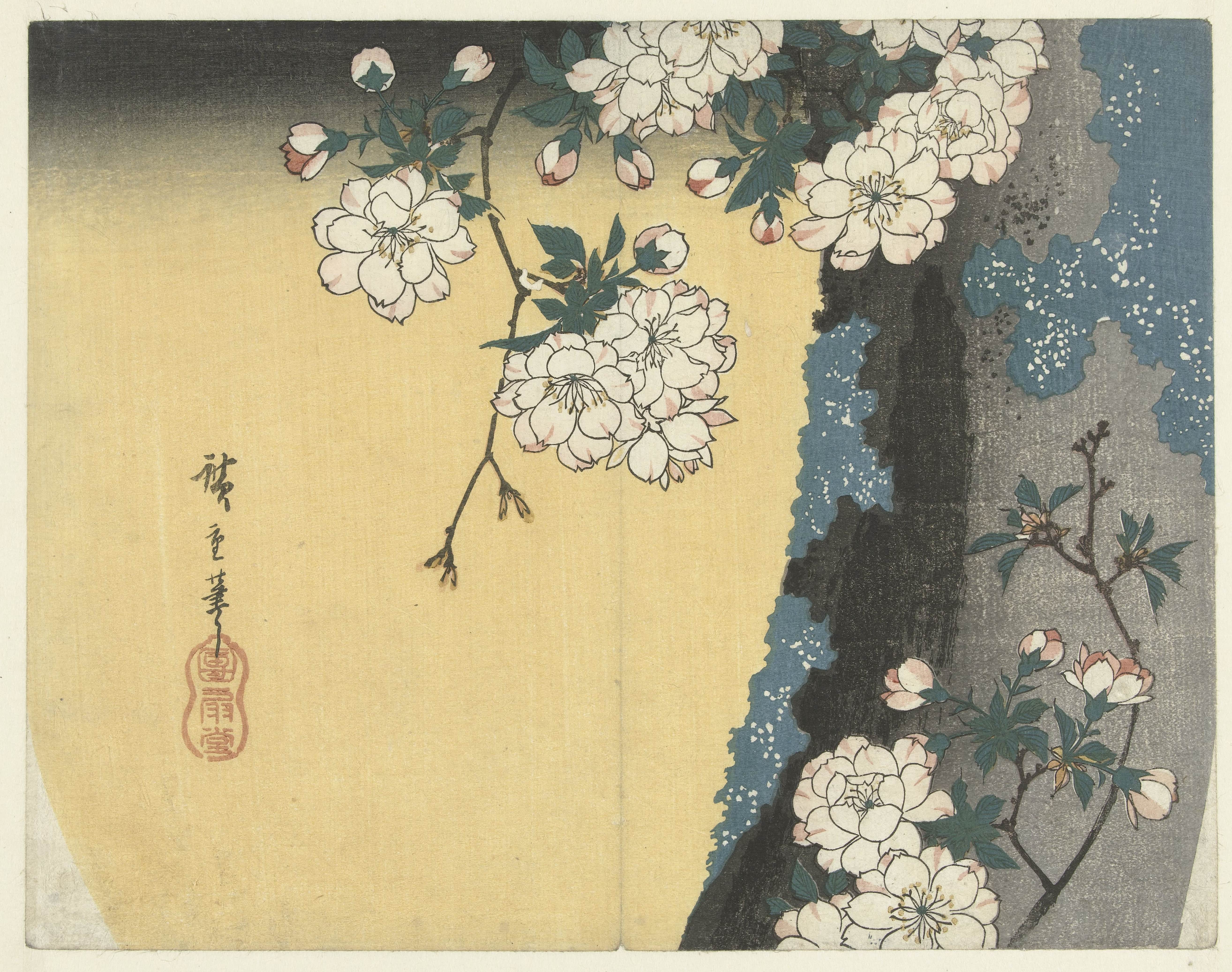 《树干上的樱花》（Cherry blossoms on a tree trunk）｜歌川广重 Utagawa Hiroshige｜1833-1837