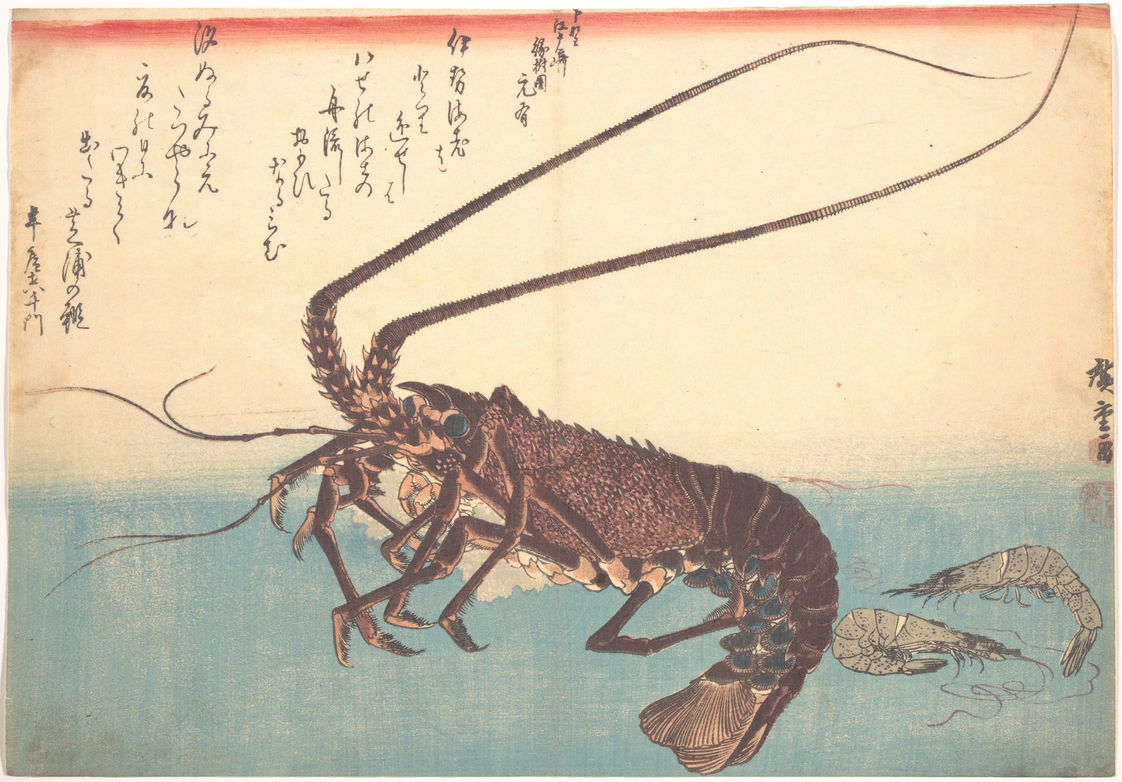 伊势虾与芝虾