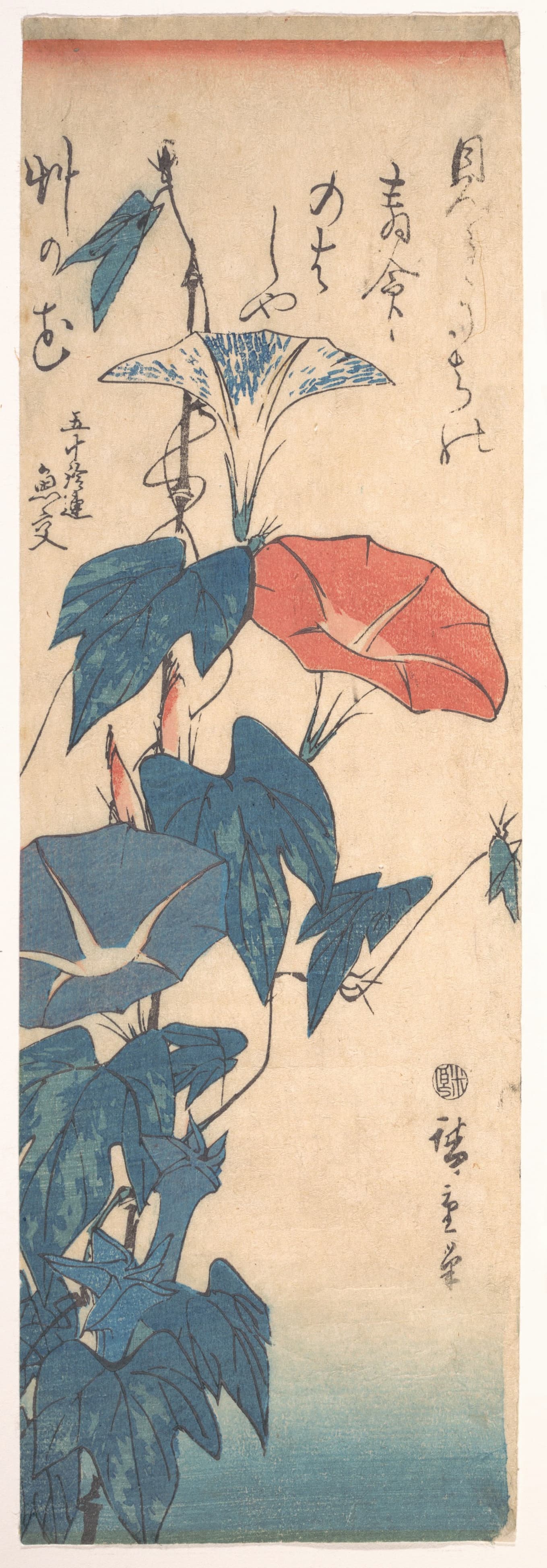 《牵牛花》（Morning Glories）｜歌川广重 Utagawa Hiroshige｜1847