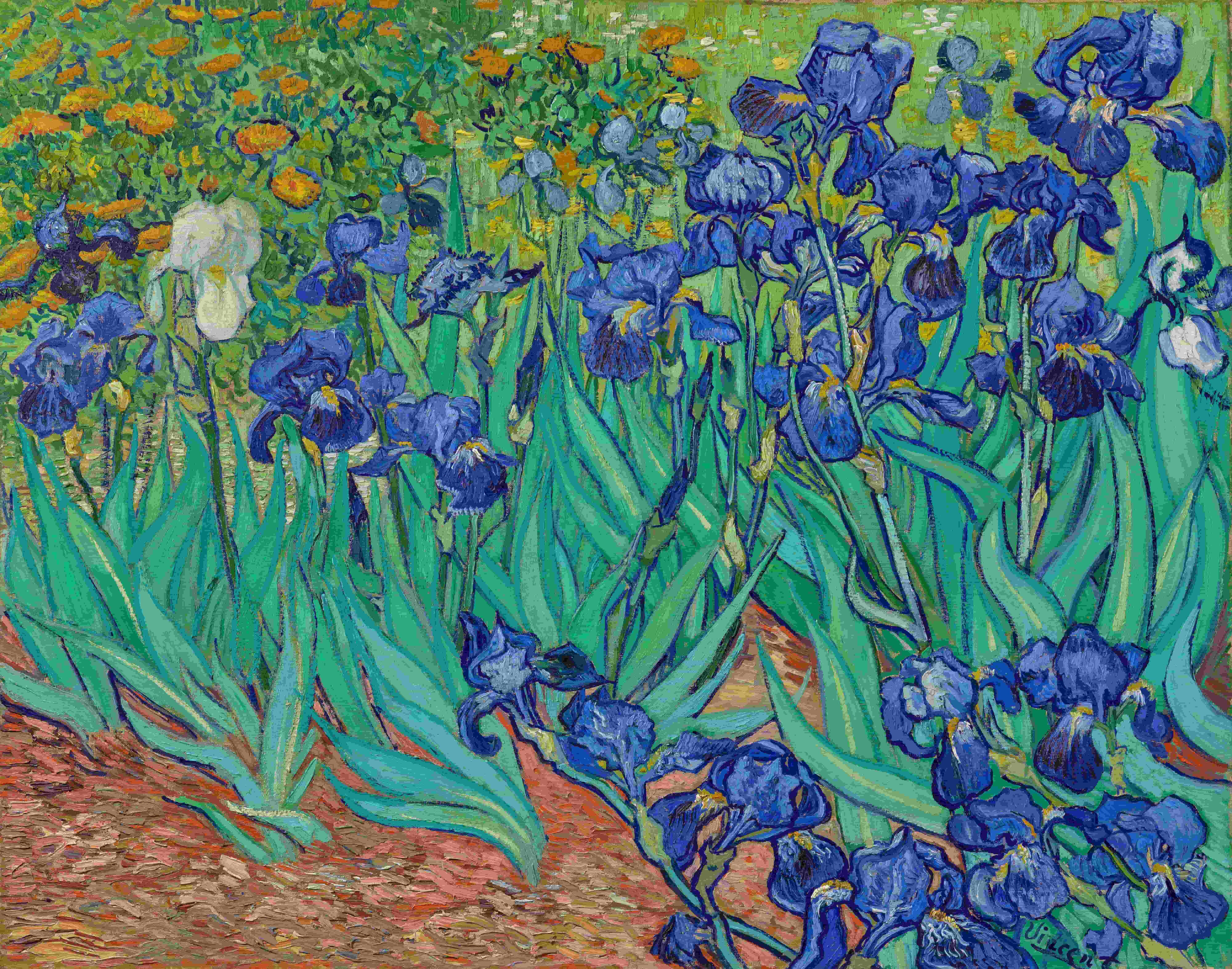 《鸢尾花》（Irises）｜文森特·梵高 Vincent van Gogh｜1889