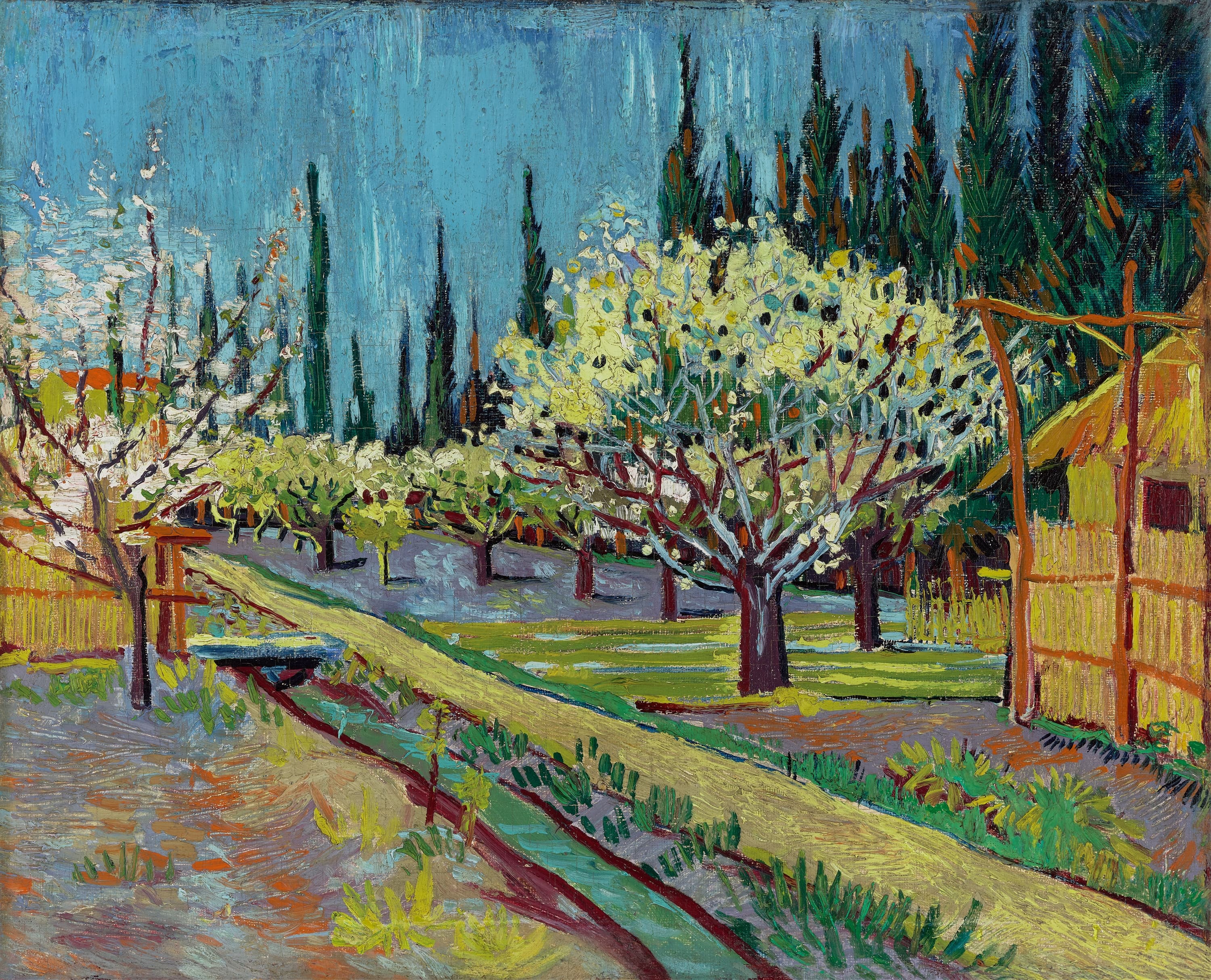 《柏树环绕的果园》（Orchard Bordered By Cypresses）｜文森特·梵高 Vincent van Gogh｜1888