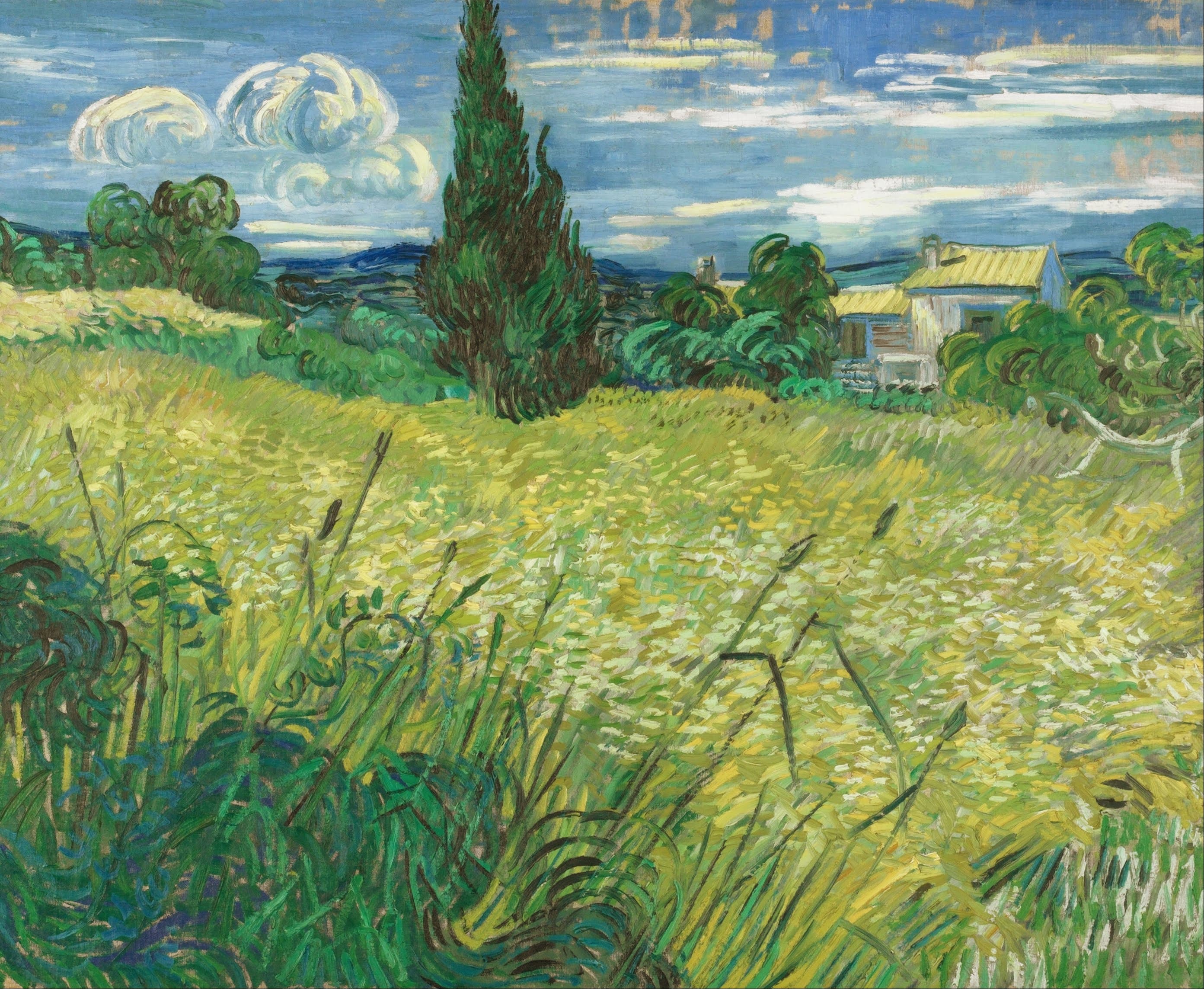 《绿地》（Green Field）｜文森特·梵高 Vincent van Gogh｜1890
