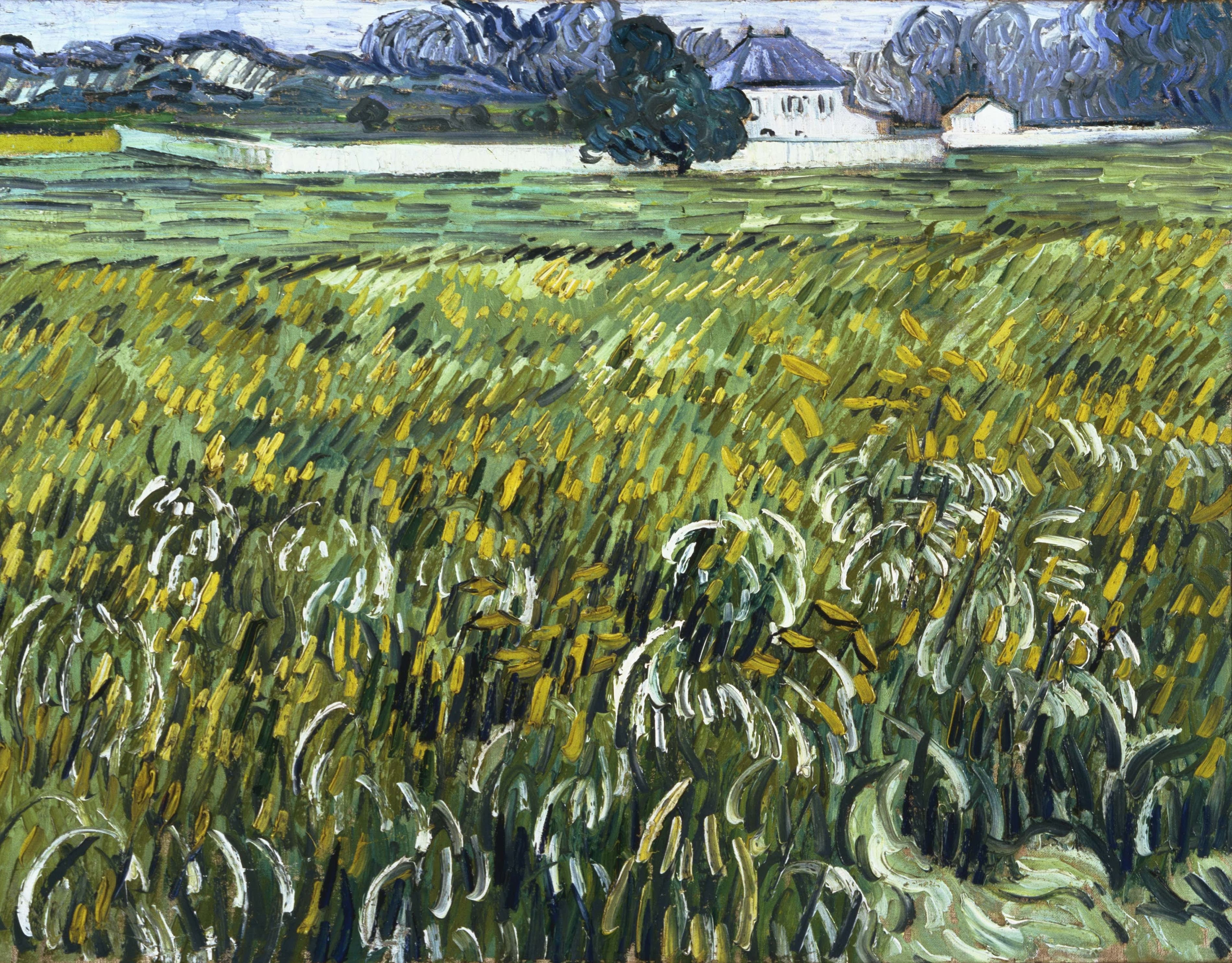 《奥维尔之家》（House at Auvers）｜文森特·梵高 Vincent van Gogh｜1890