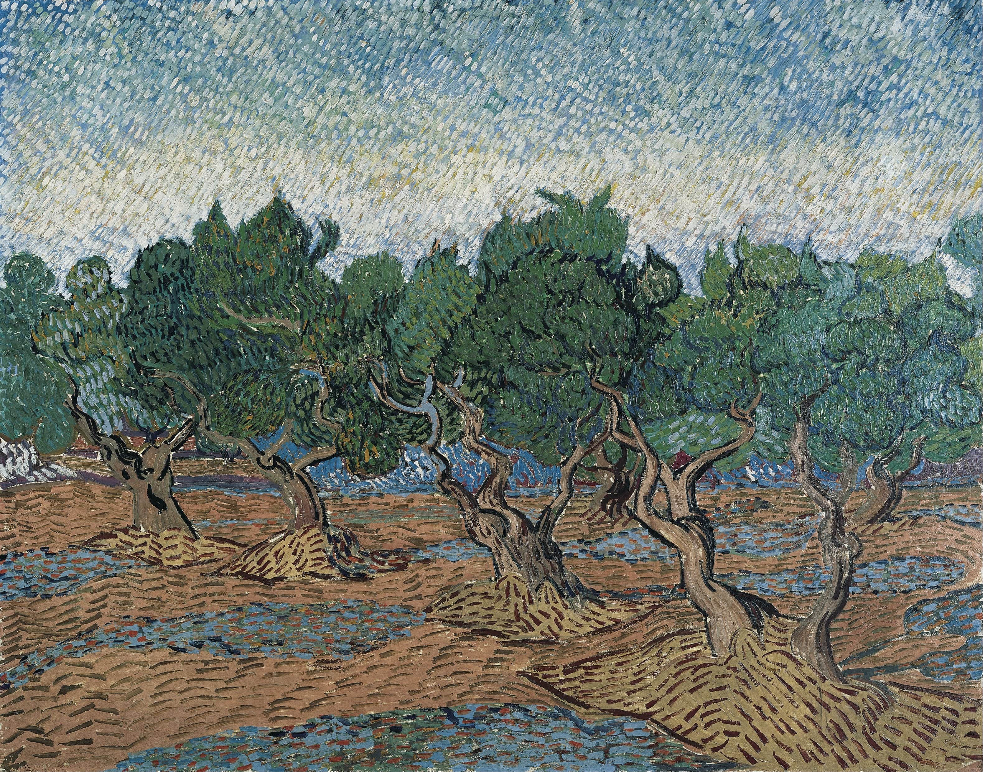 《橄榄园》（Olive Grove）｜文森特·梵高 Vincent van Gogh｜1889