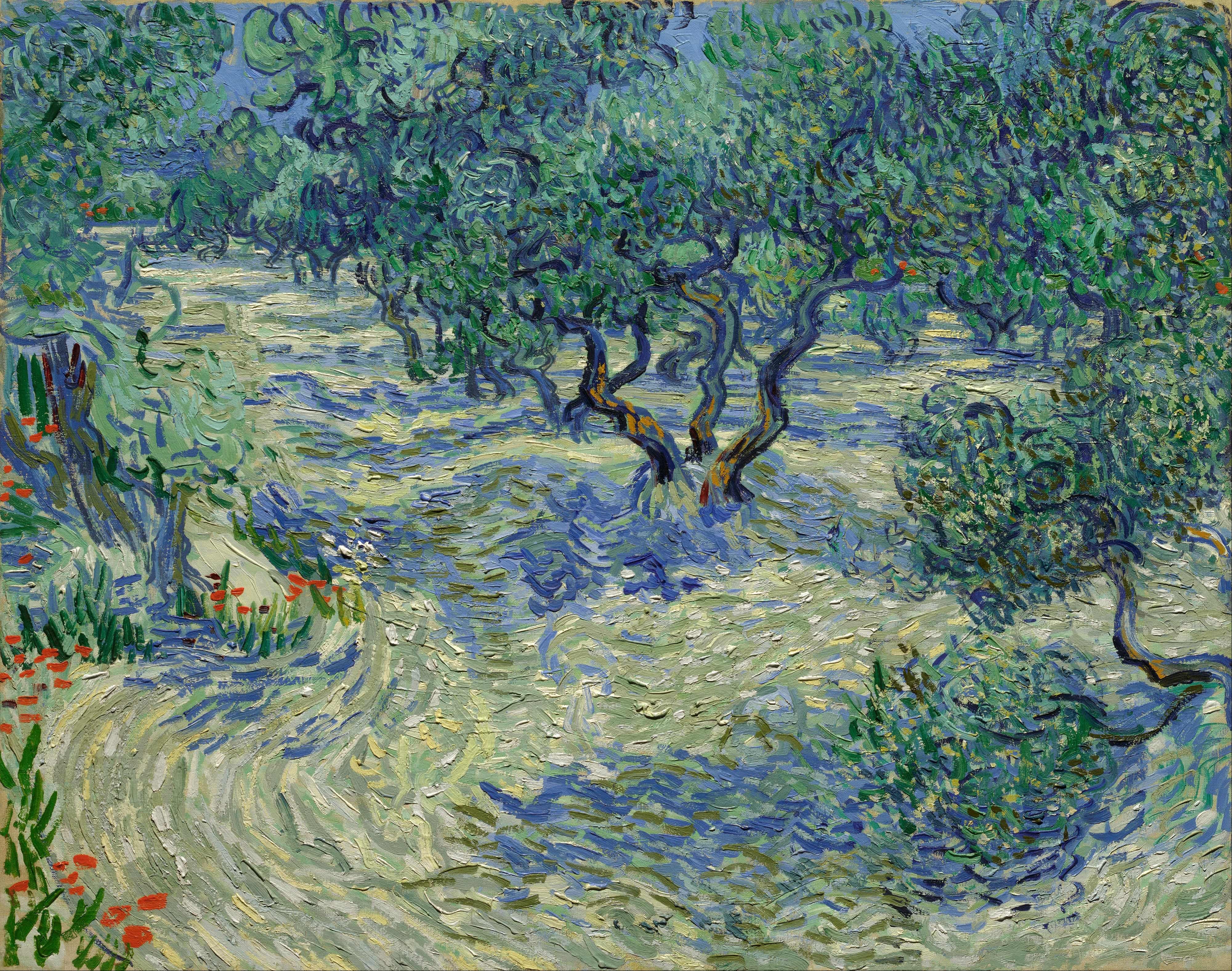 《橄榄园》（Olive Orchard）｜文森特·梵高 Vincent van Gogh｜1889