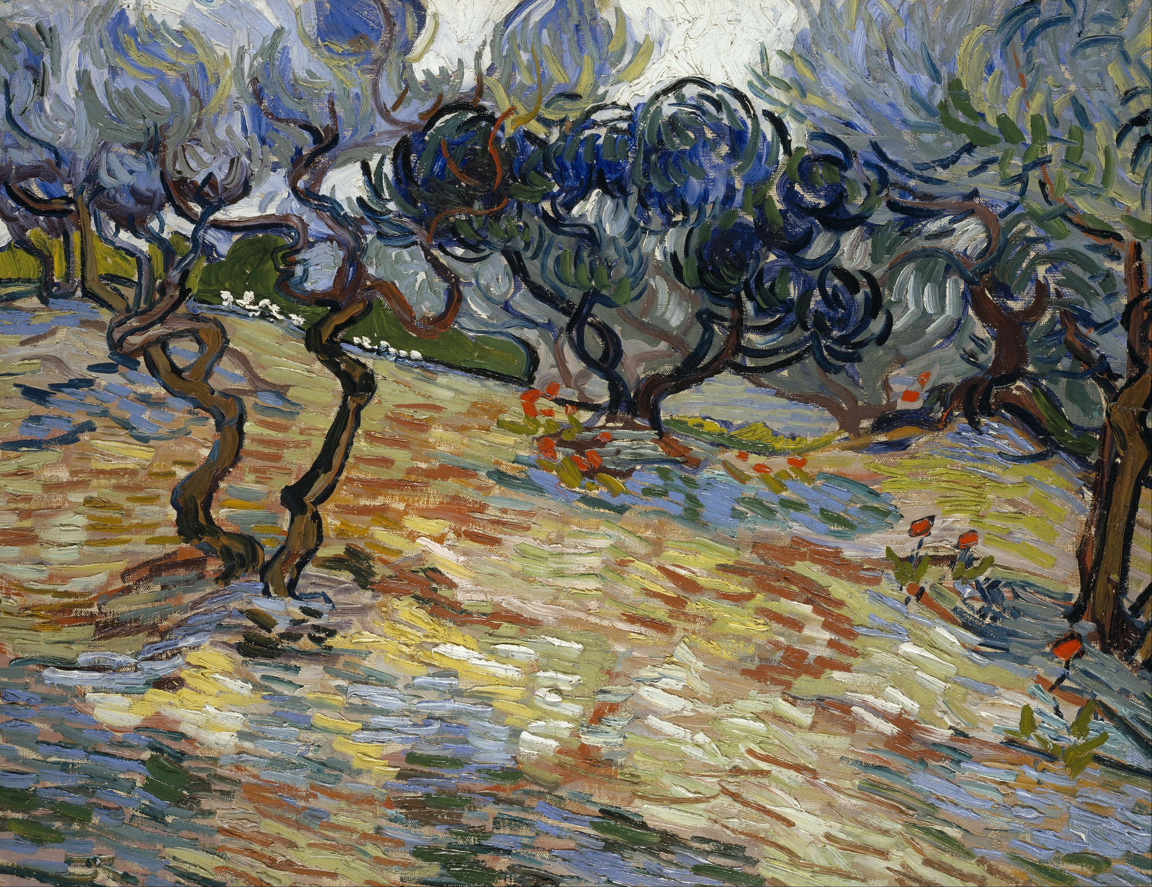 《橄榄树》（Olive Trees）｜文森特·梵高 Vincent van Gogh｜1889
