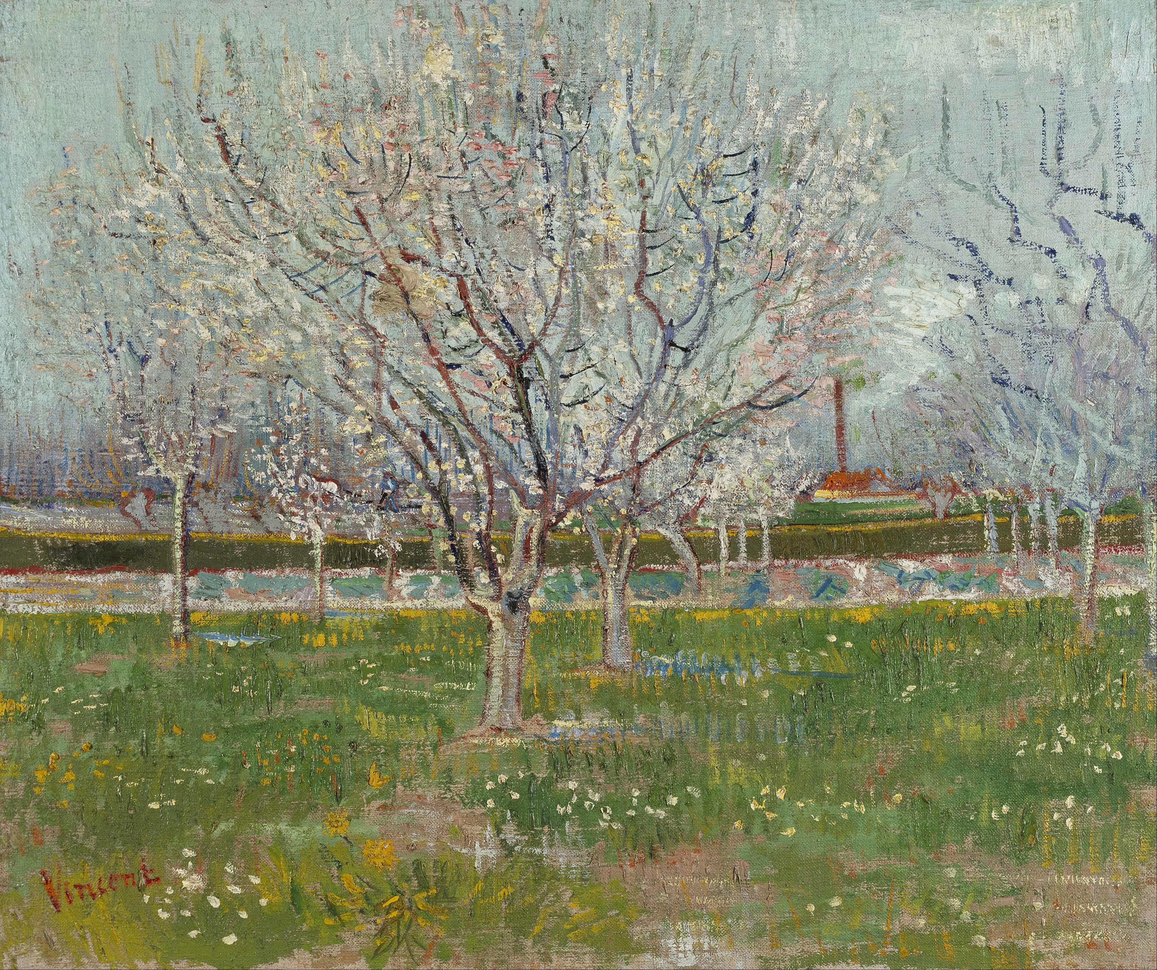 《梅花盛开的果园》（Orchard in Blossom Plum Trees）｜文森特·梵高 Vincent van Gogh｜1888