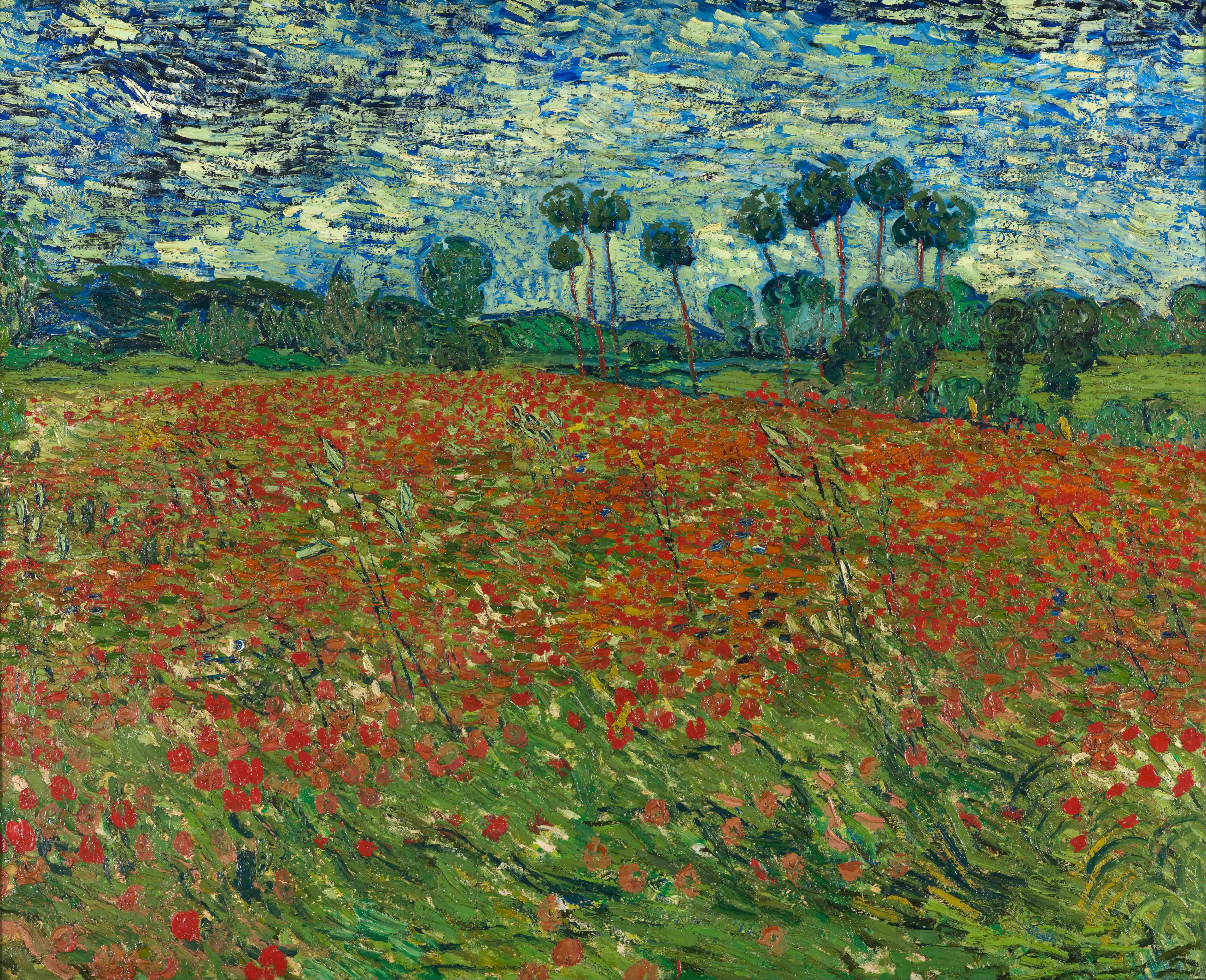 《罂粟田》（Poppy Field）｜文森特·梵高 Vincent van Gogh｜1890