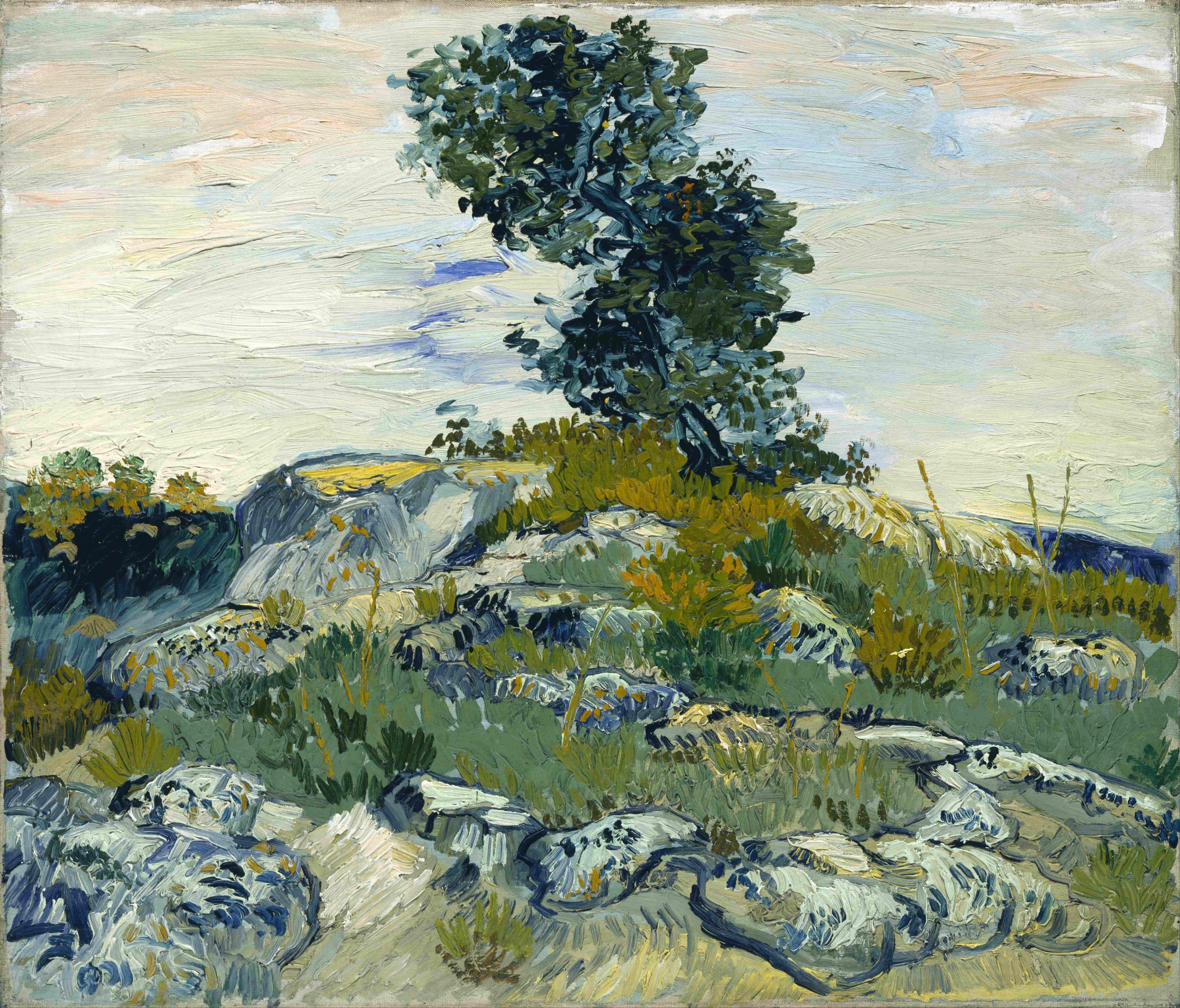 《岩石区》（The Rocks）｜文森特·梵高 Vincent van Gogh｜1890