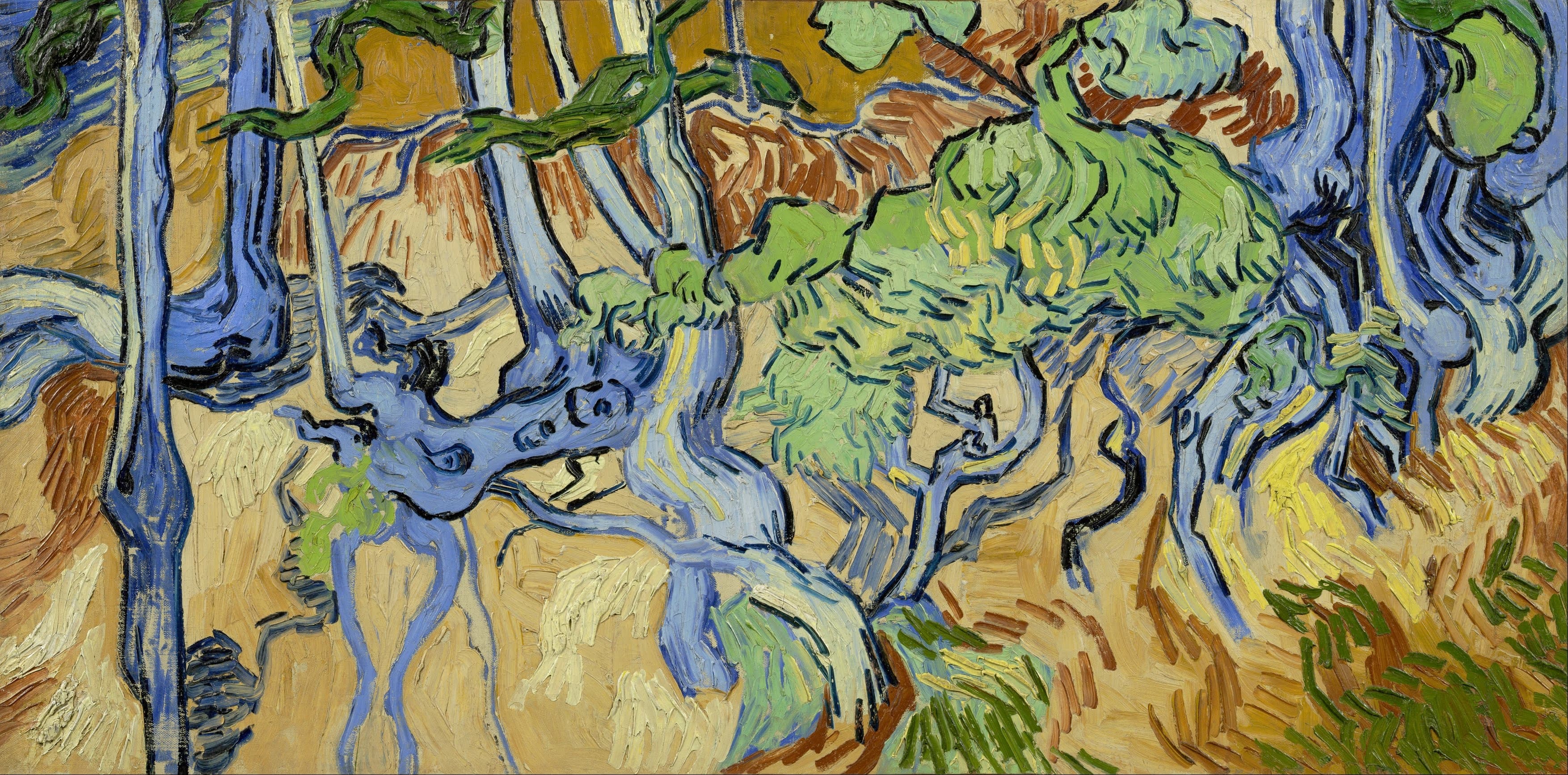 《树根》（Tree Roots）｜文森特·梵高 Vincent van Gogh｜1890