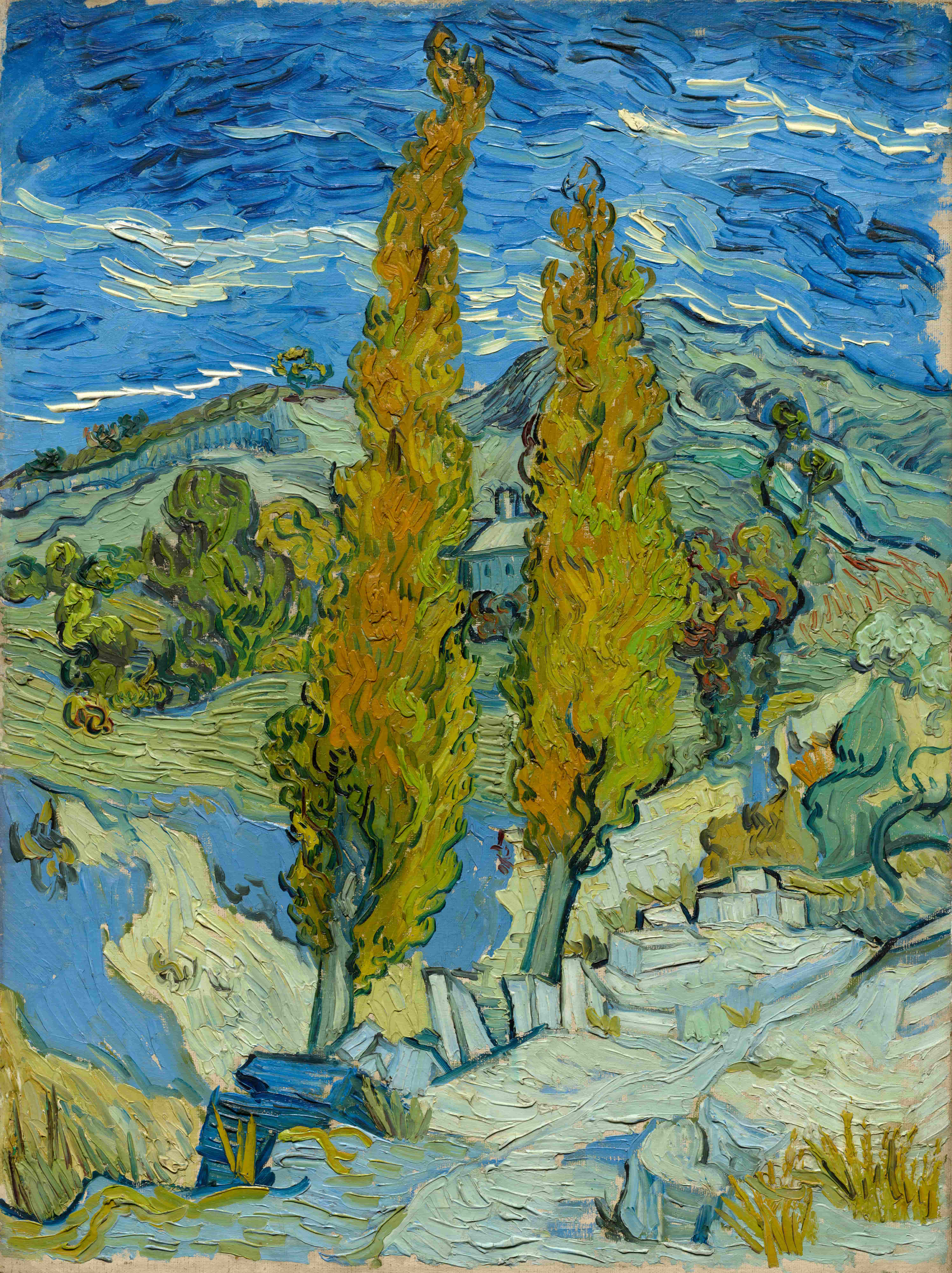 《圣雷米附近阿尔皮勒的两棵白杨树》（Two Poplars in the Alpilles Near Saint Remy）｜文森特·梵高 Vincent van Gogh｜1889