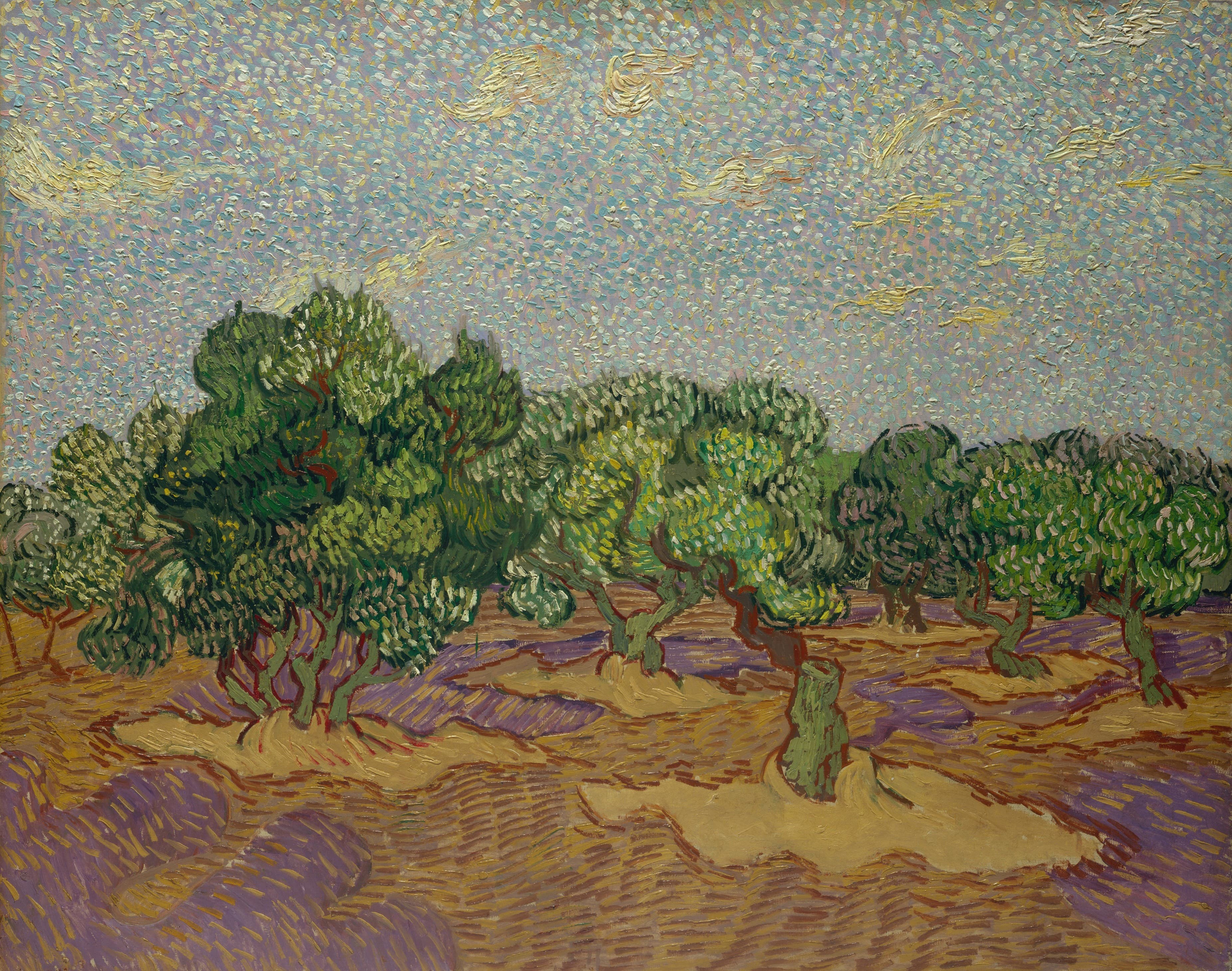 《橄榄树》（Olive Trees）｜文森特·梵高 Vincent van Gogh｜1889