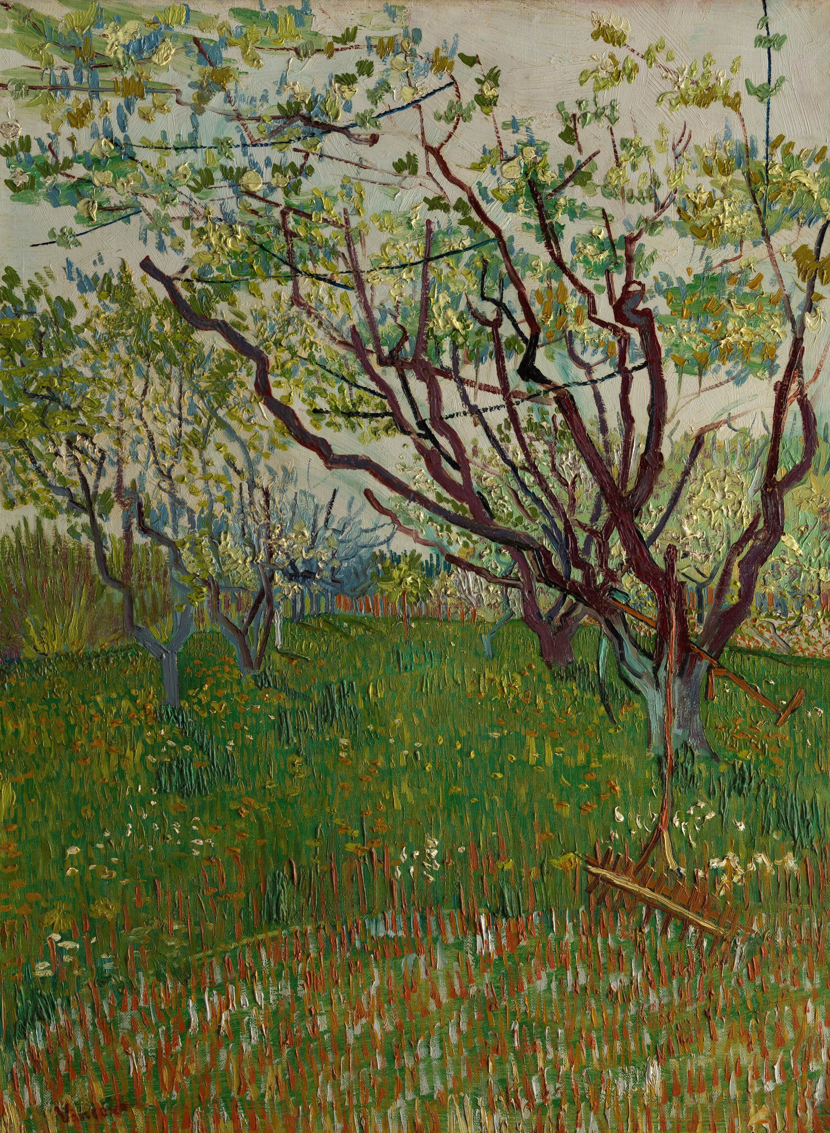 《盛开的果园》（The Flowering Orchard）｜文森特·梵高 Vincent van Gogh｜1888