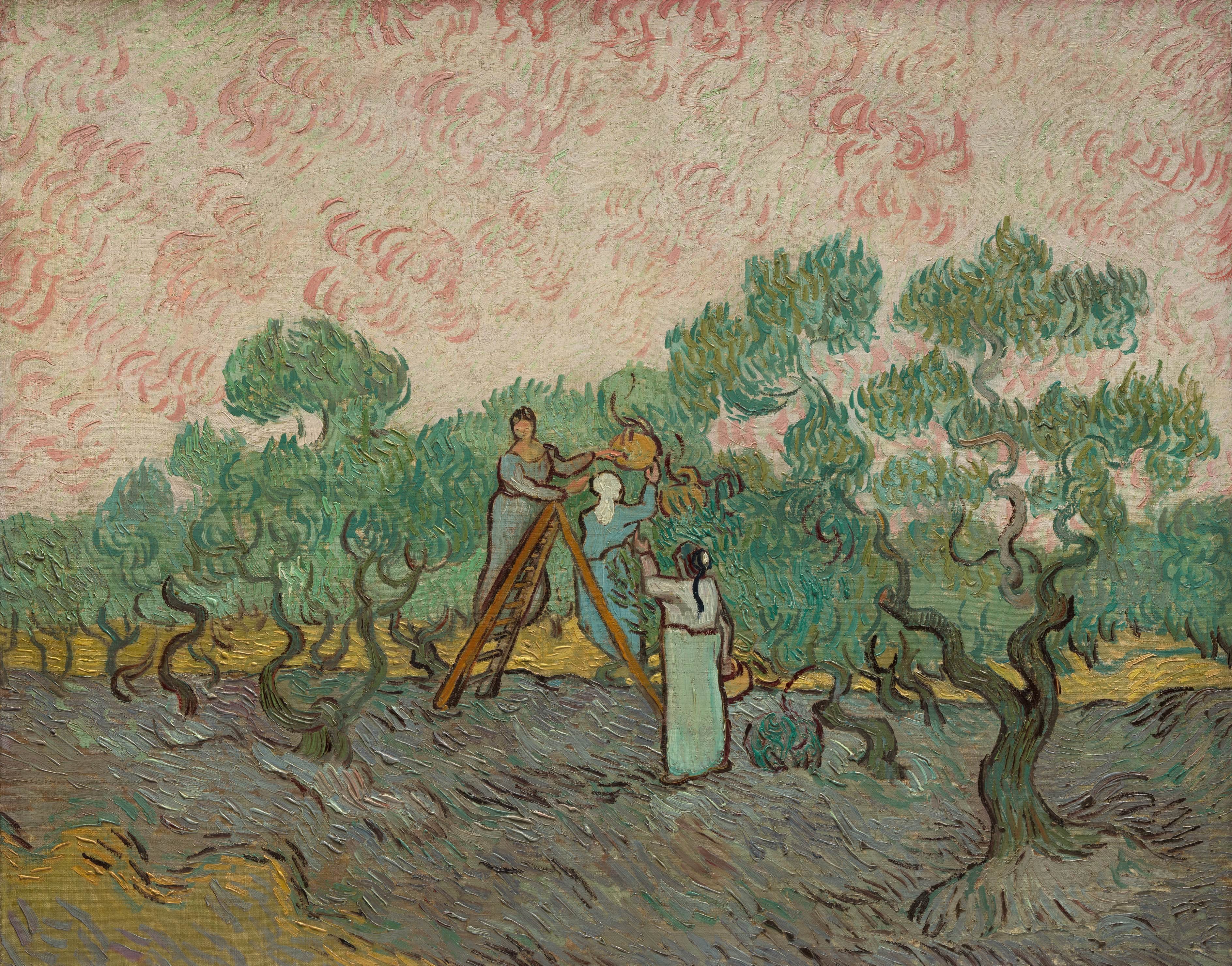 《采摘橄榄的妇女》（Women Picking Olives）｜文森特·梵高 Vincent van Gogh｜1889