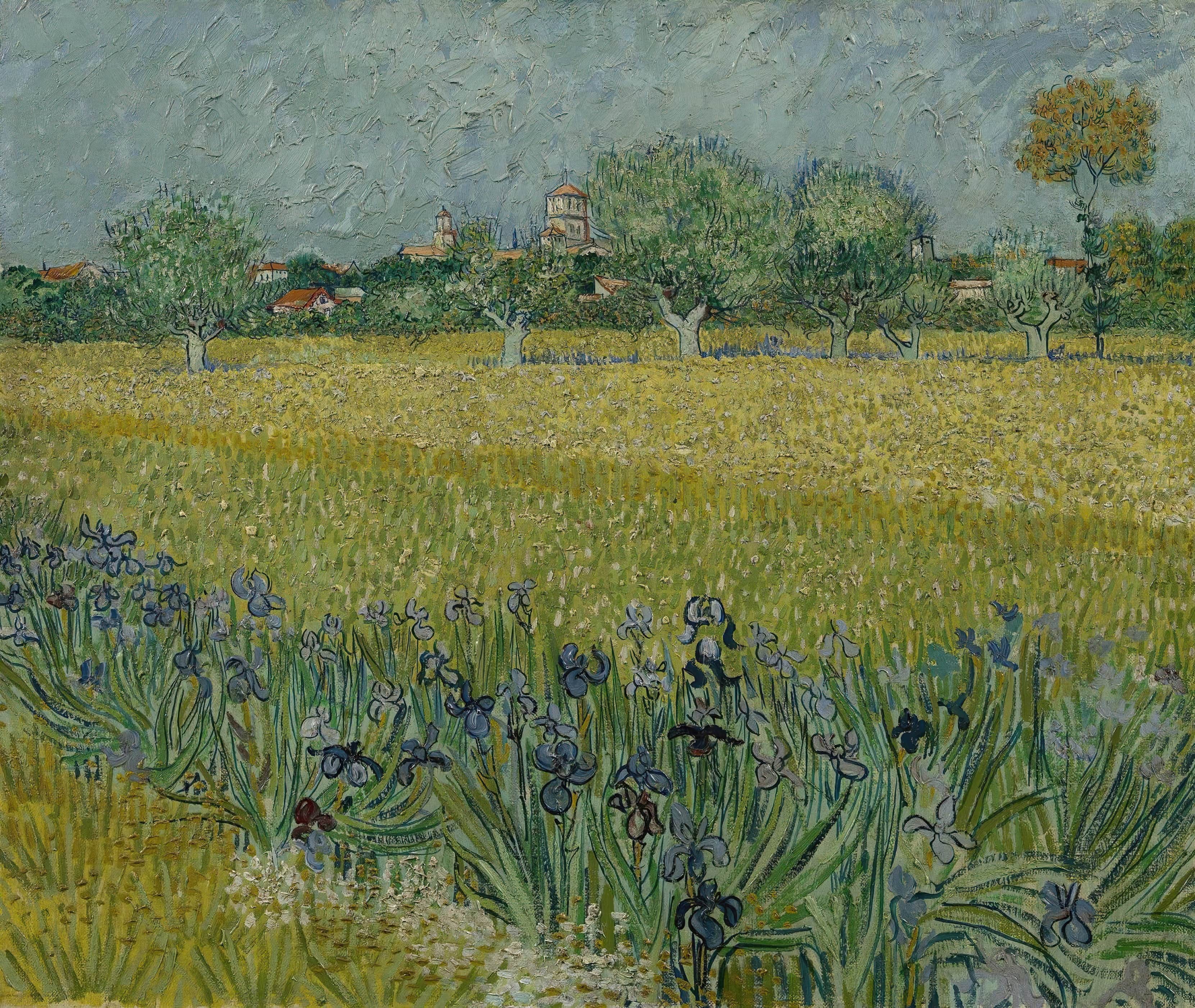 《阿尔勒风景与鸢尾花》（View of Arles with Irises）｜文森特·梵高 Vincent van Gogh｜1888