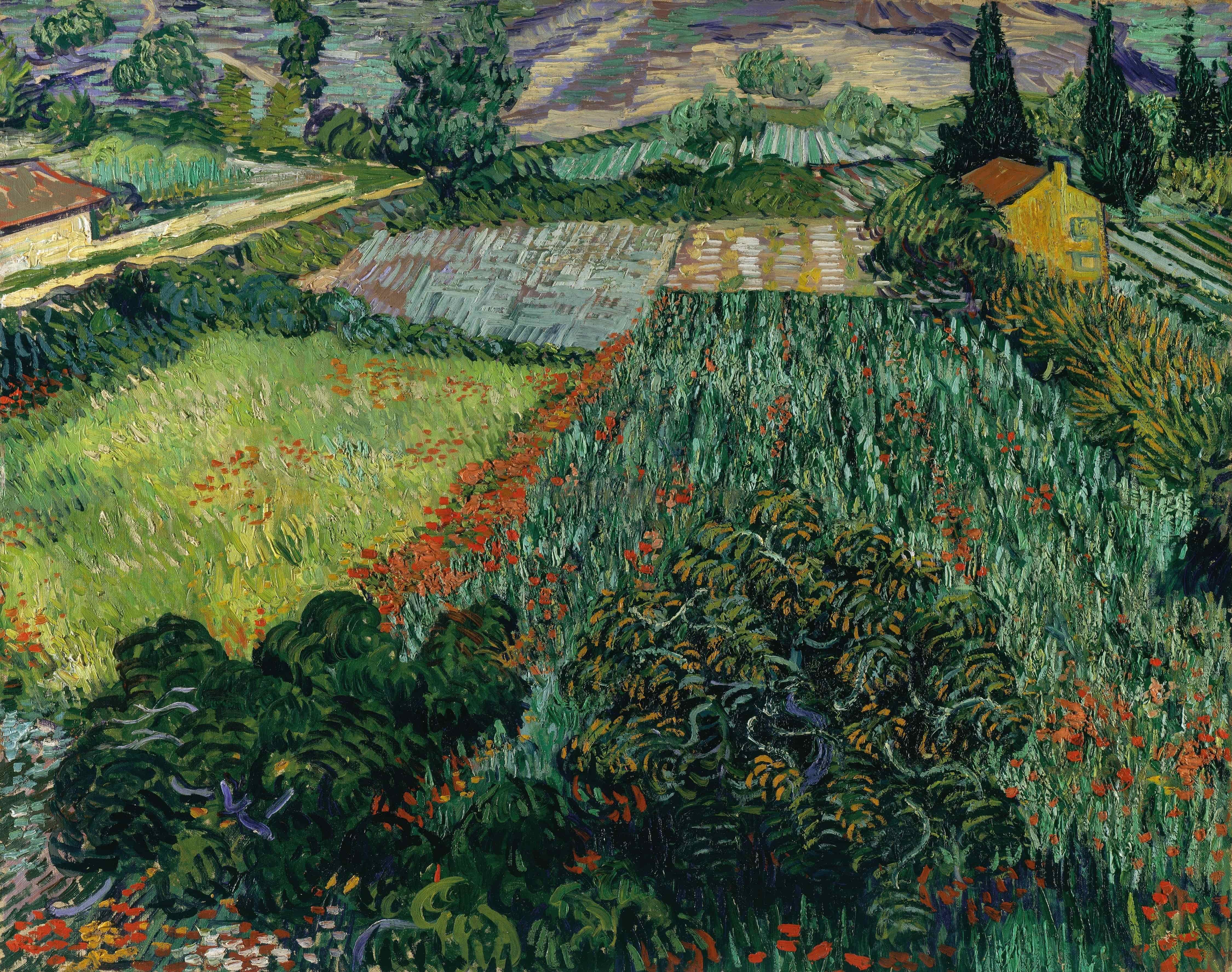 《罂粟田》（Field with Poppies）｜文森特·梵高 Vincent van Gogh｜1890