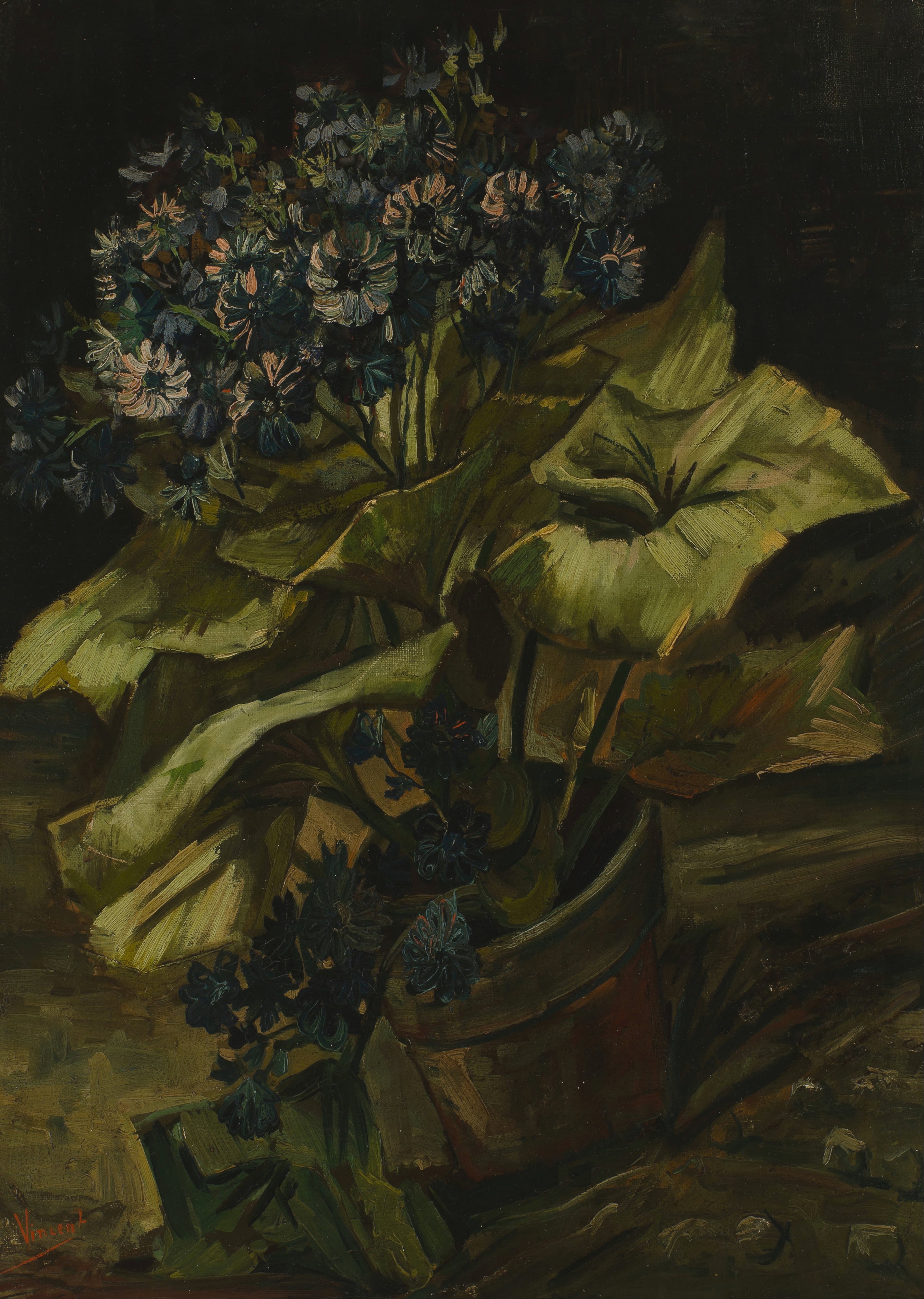 《瓜叶菊》（Cineraria）｜文森特·梵高 Vincent van Gogh｜1886