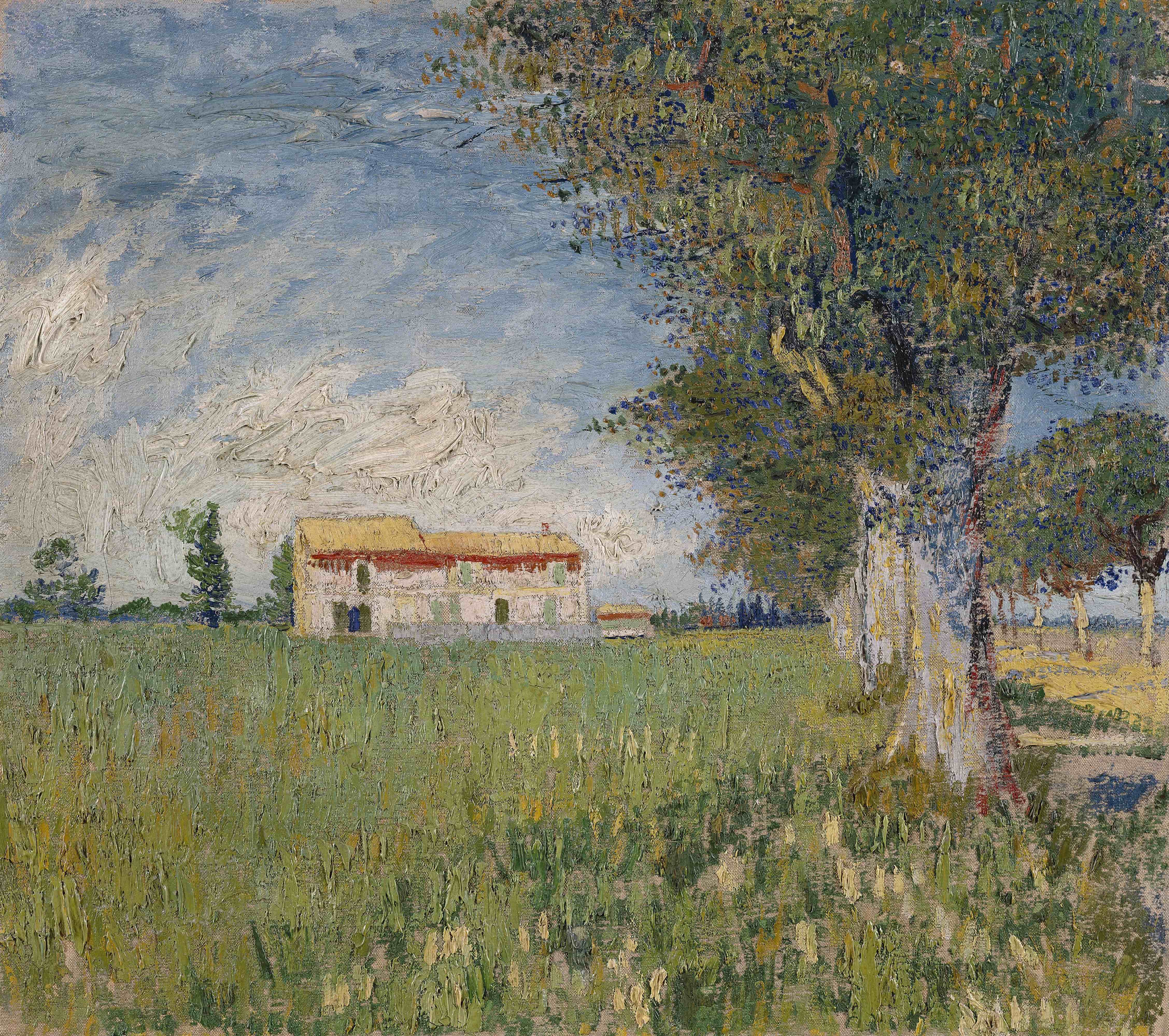 《麦田农舍》（Farmhouse in A Wheat Field）｜文森特·梵高 Vincent van Gogh｜1888