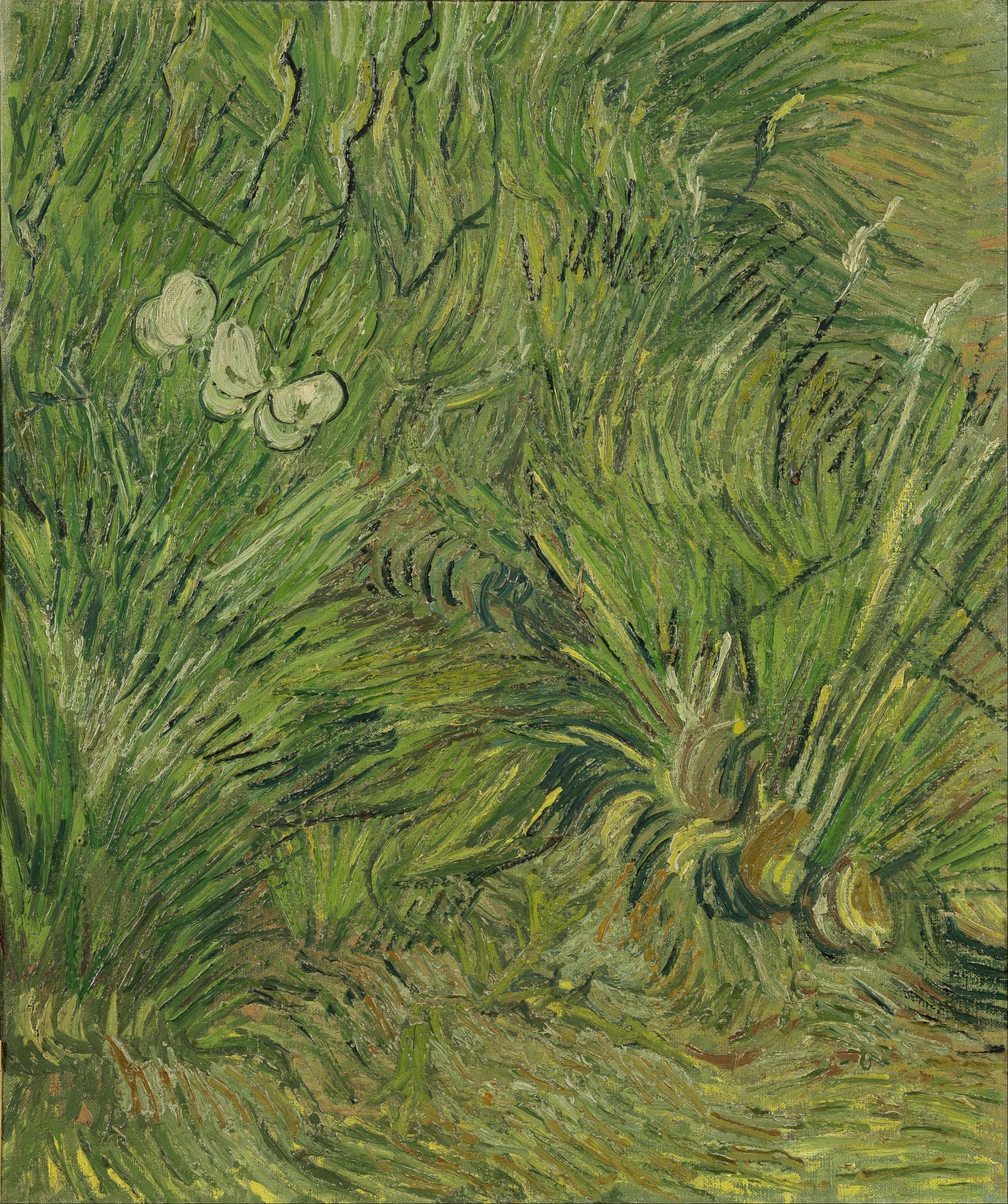 《有蝴蝶的花园》（Garden with Butterflies）｜文森特·梵高 Vincent van Gogh｜1890