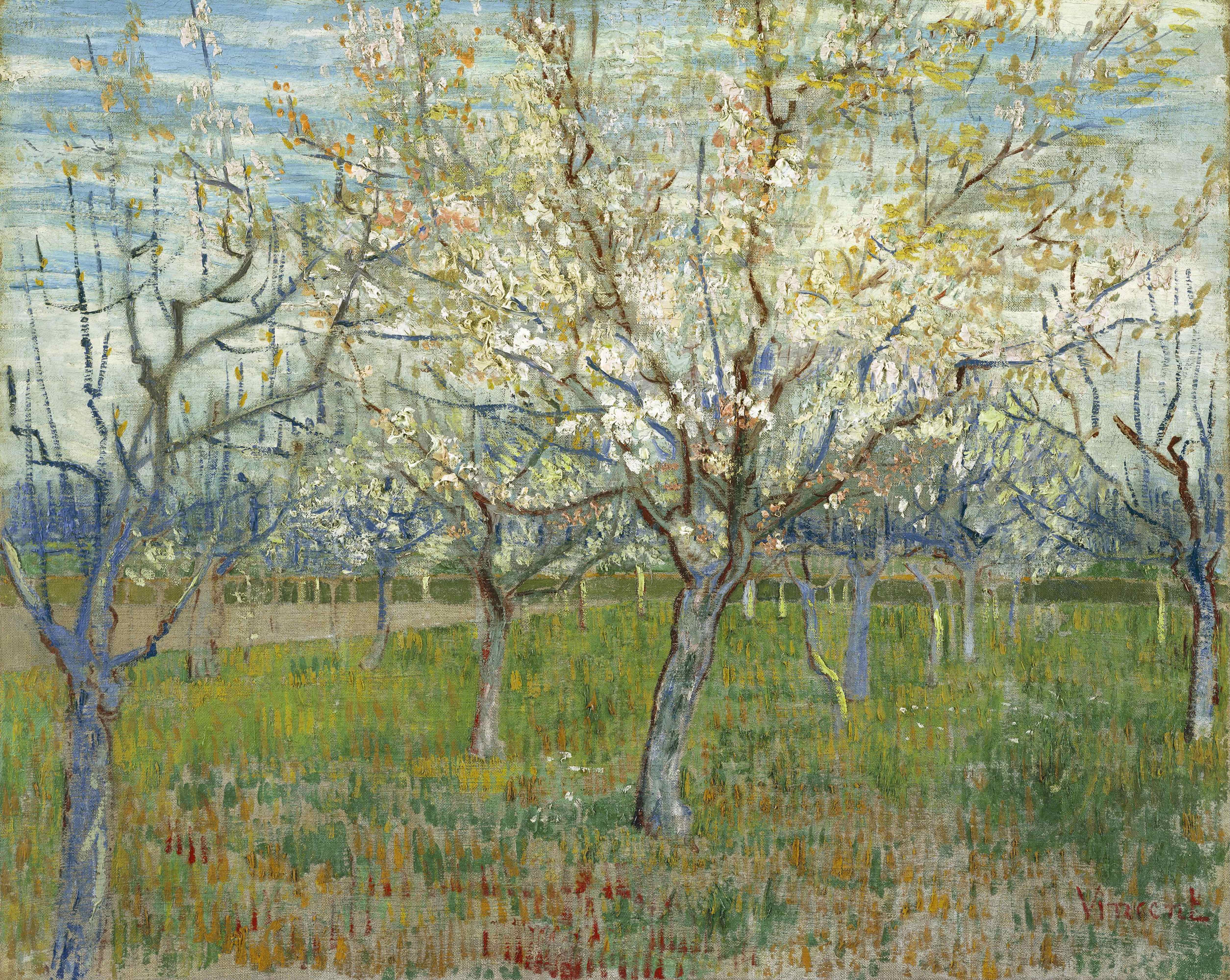 《粉红果园》（The Pink Orchard）｜文森特·梵高 Vincent van Gogh｜1888