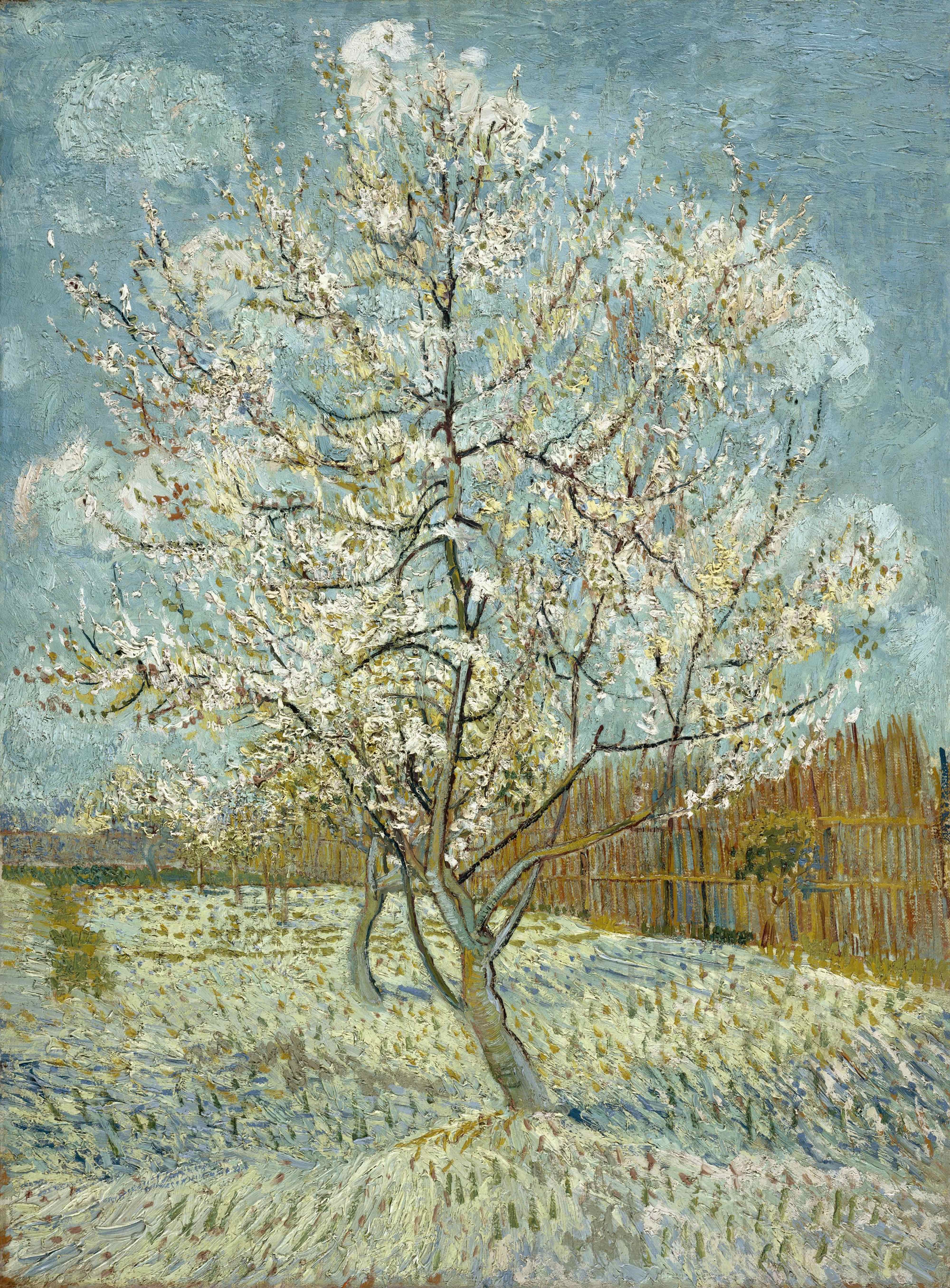 《粉红桃树》（The Pink Peach Tree）｜文森特·梵高 Vincent van Gogh｜1888