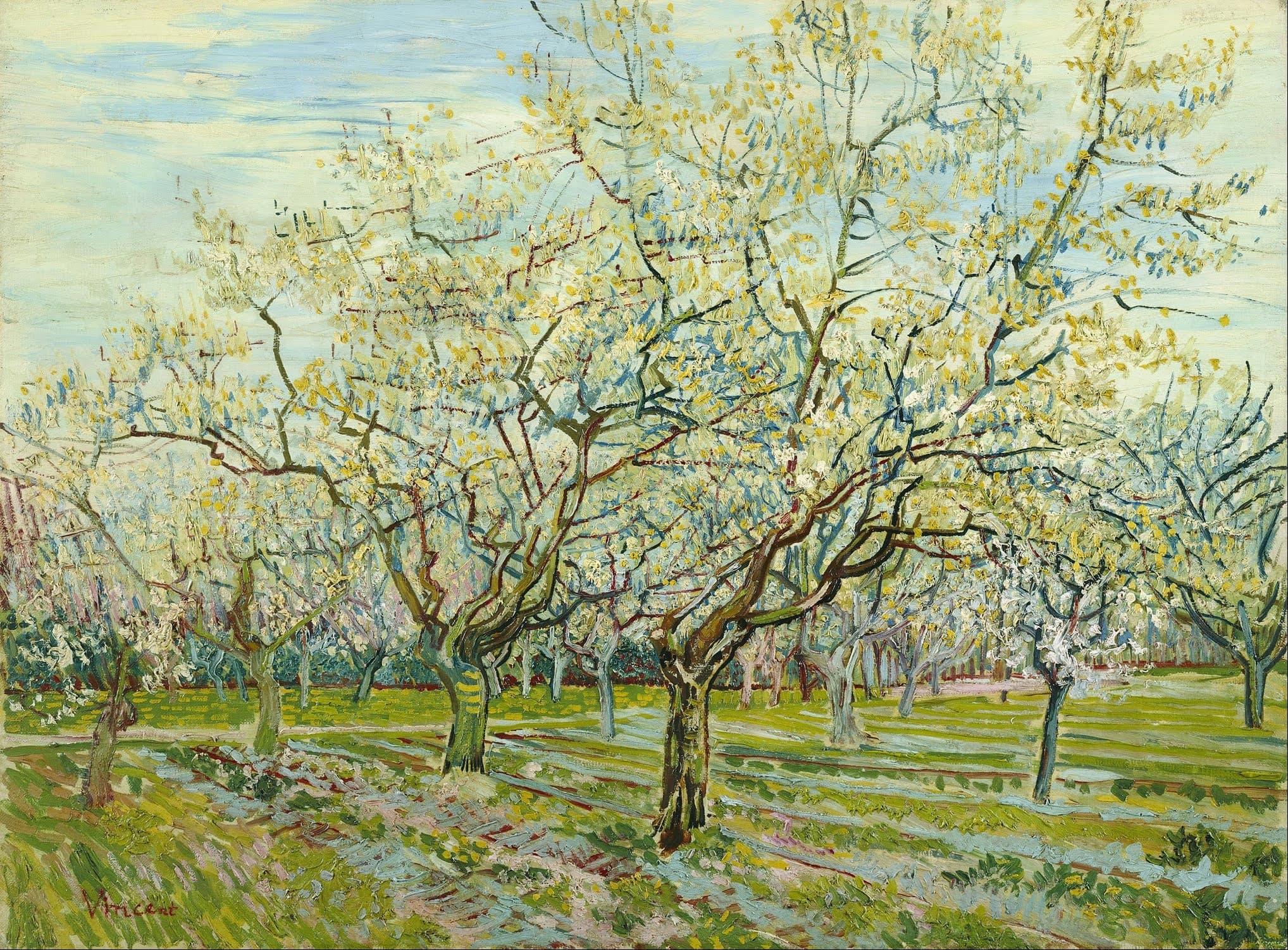 《白果园》（The White Orchard）｜文森特·梵高 Vincent van Gogh｜1888