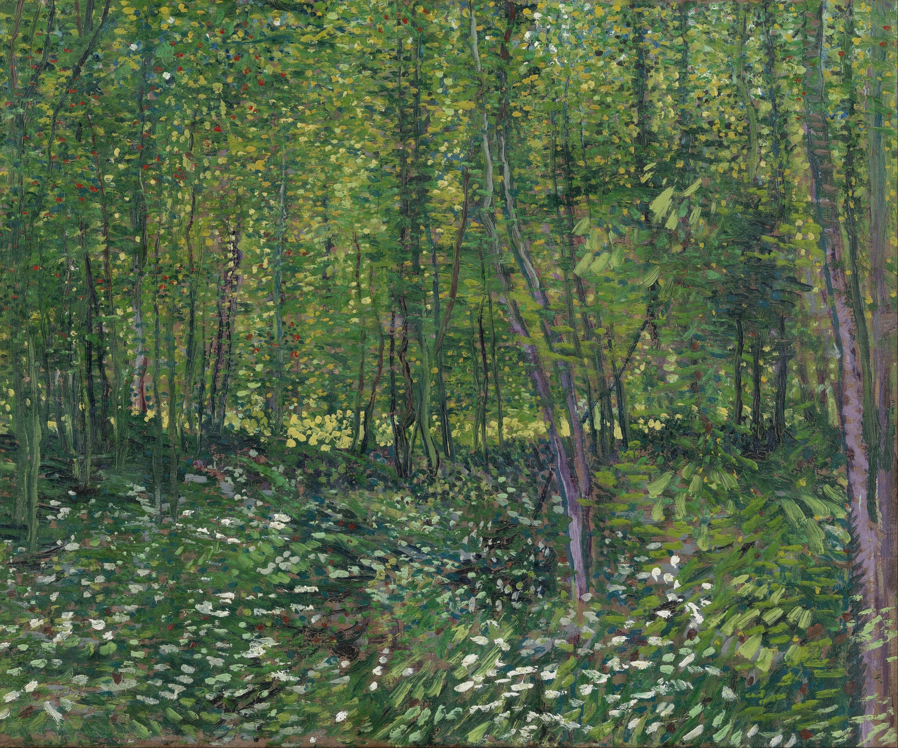 《树木和灌木丛》（Trees And Undergrowth）｜文森特·梵高 Vincent van Gogh｜1887
