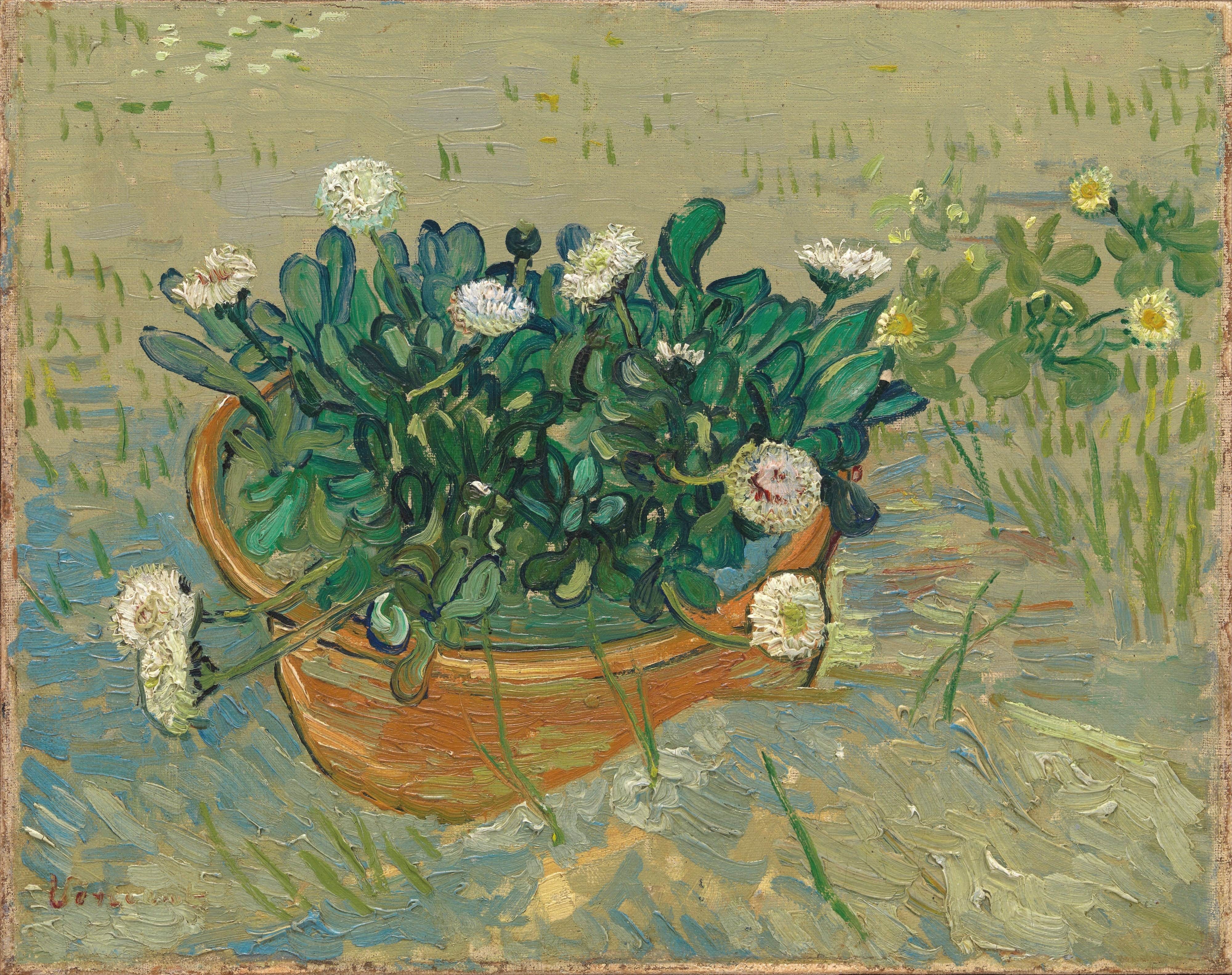 《阿尔勒的雏菊》（Daisies, Arles）｜文森特·梵高 Vincent van Gogh｜1888