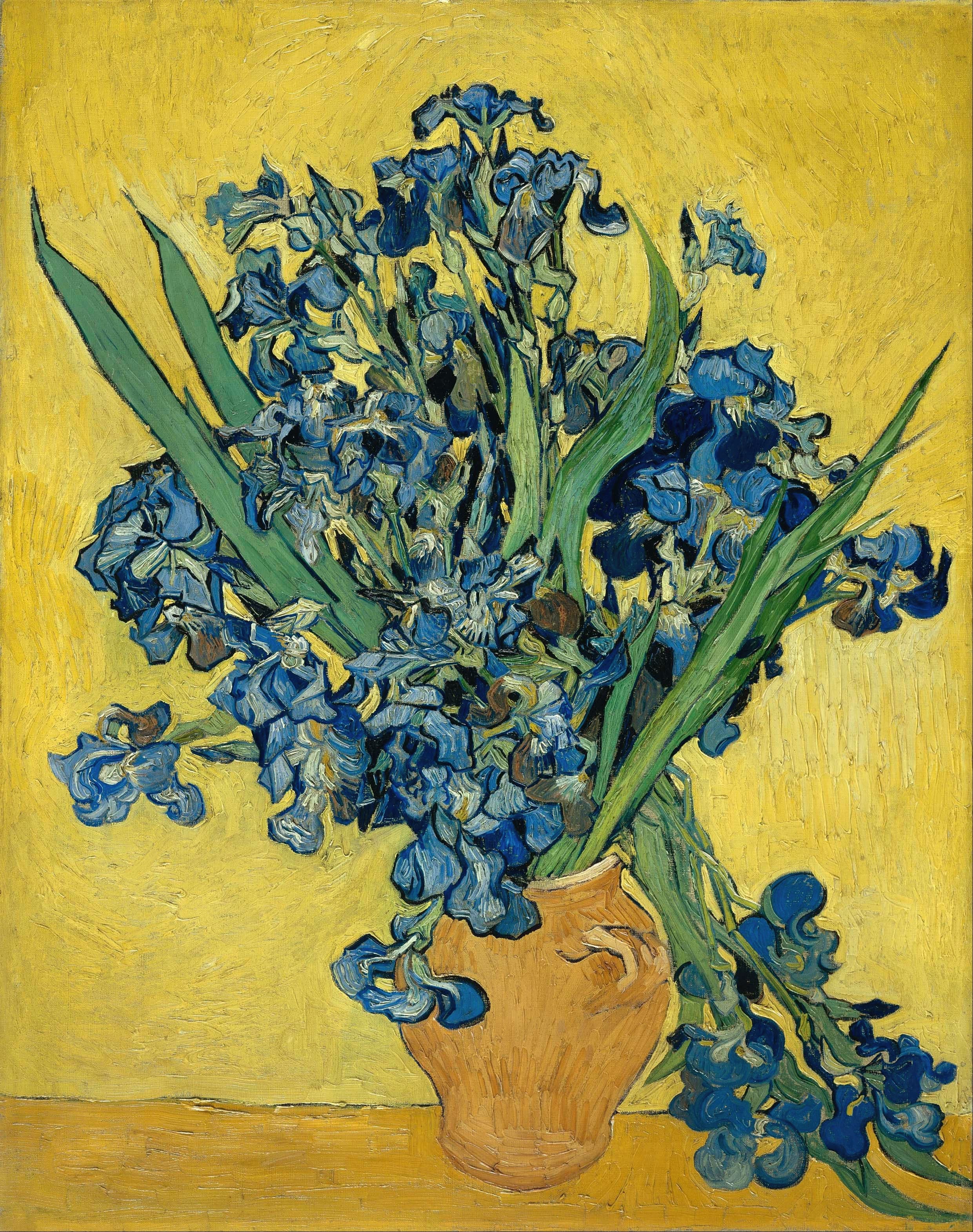 《鸢尾花》（Irises）｜文森特·梵高 Vincent van Gogh｜1890